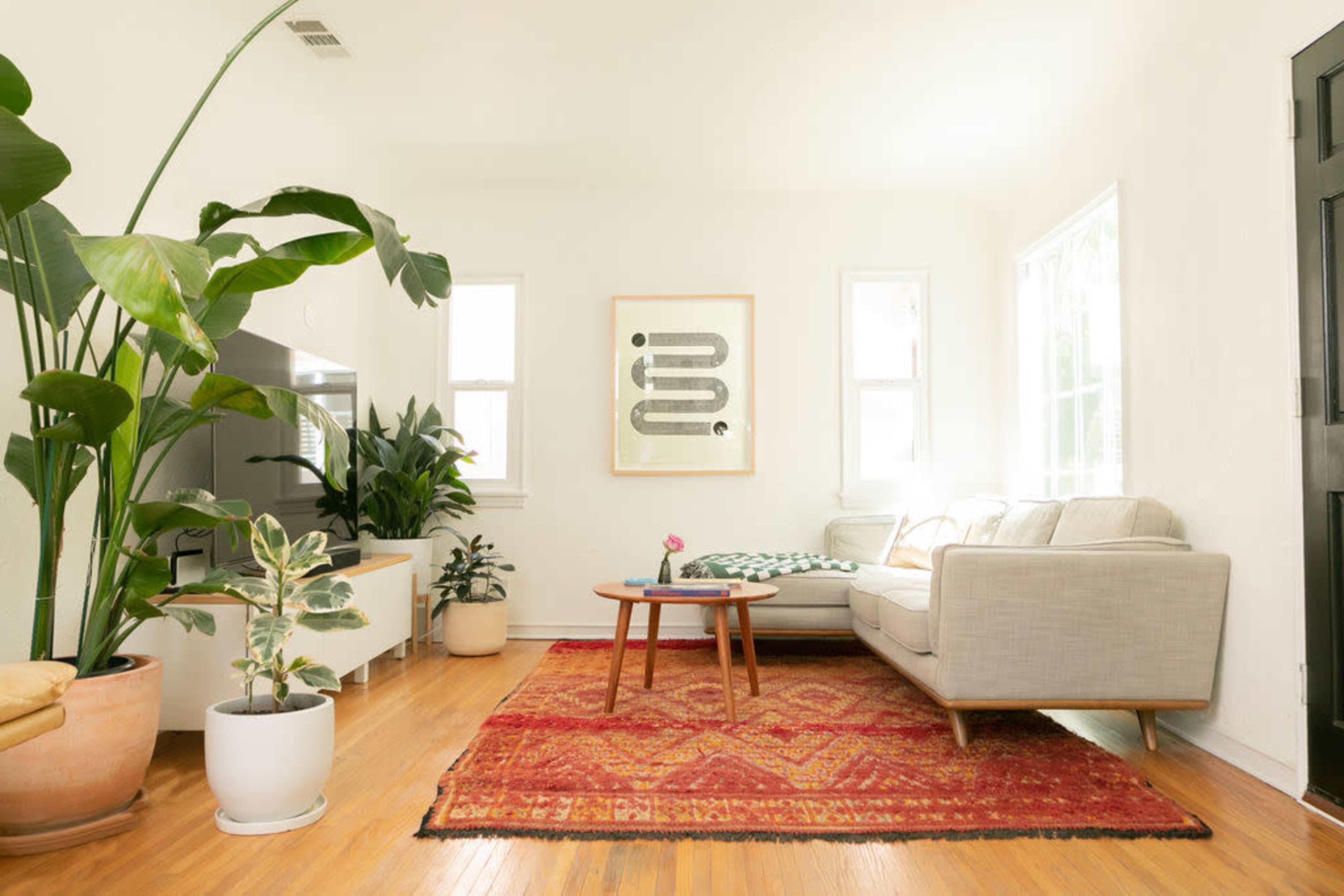 A bright living room features a light-colored sofa, a wooden coffee table, plants, and a large area rug.
