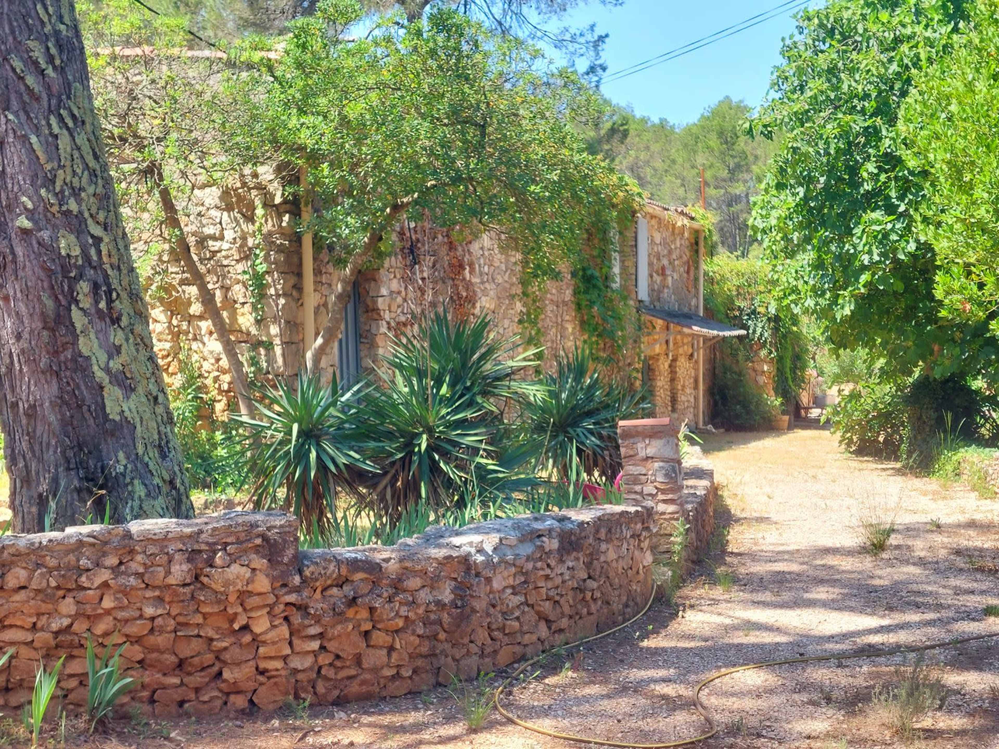 The image shows a rustic stone building surrounded by greenery and a dirt pathway lined with plants.