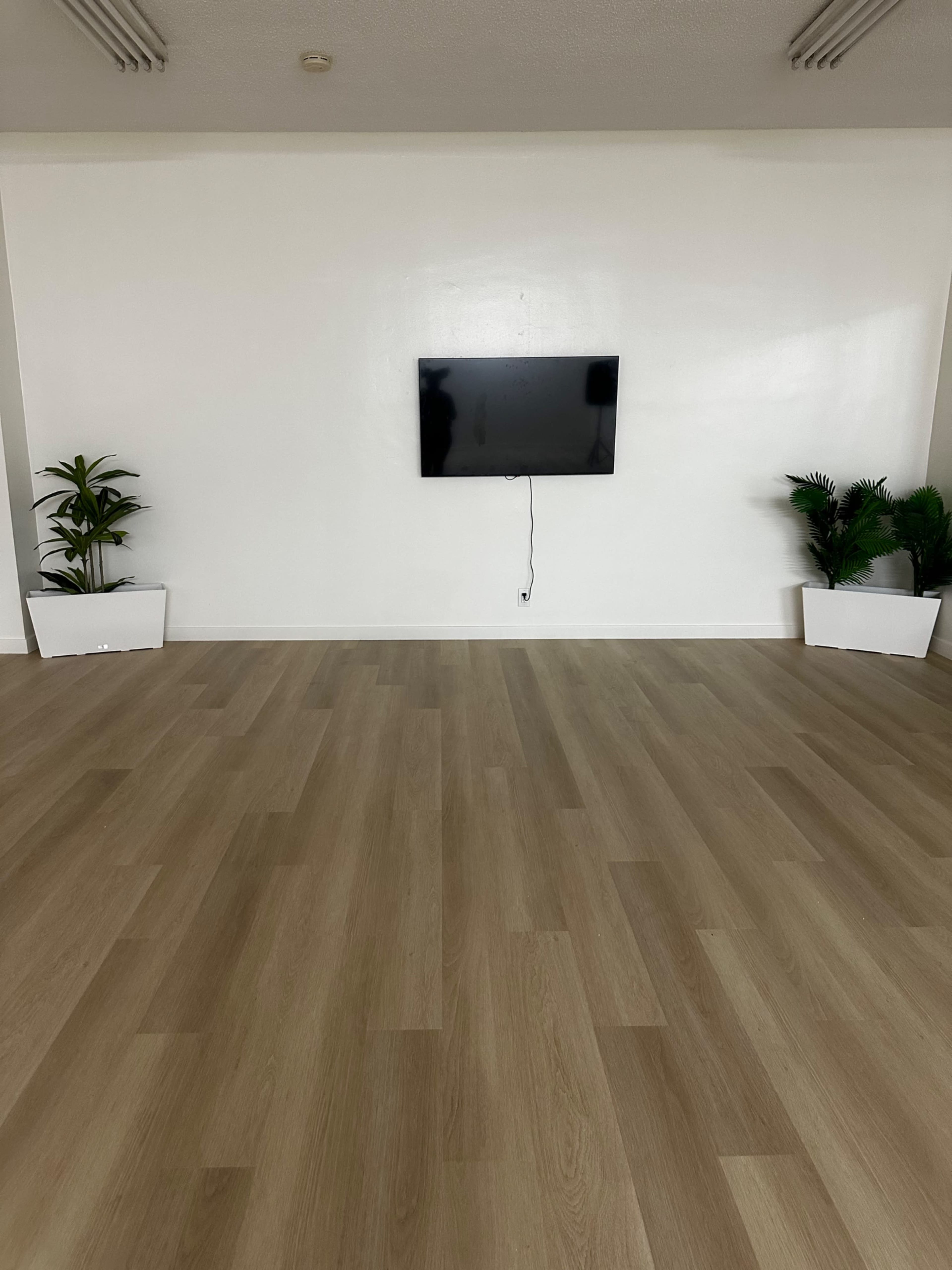 The image shows a spacious, empty room with light wood flooring, two potted plants on either side, and a flat-screen television mounted on a white wall.