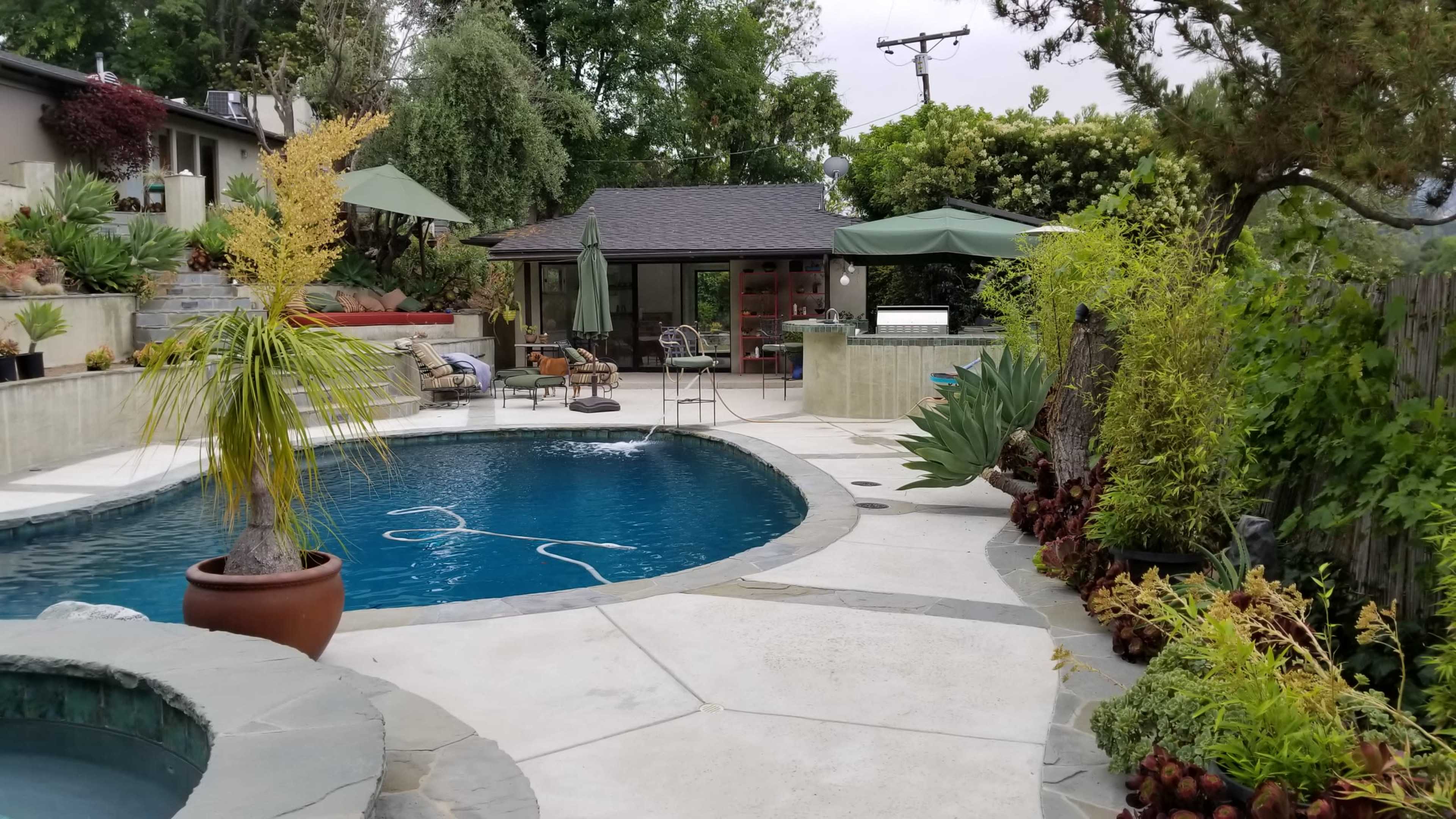 A landscaped backyard with a swimming pool, surrounded by plants, outdoor furniture, and a small structure in the background.