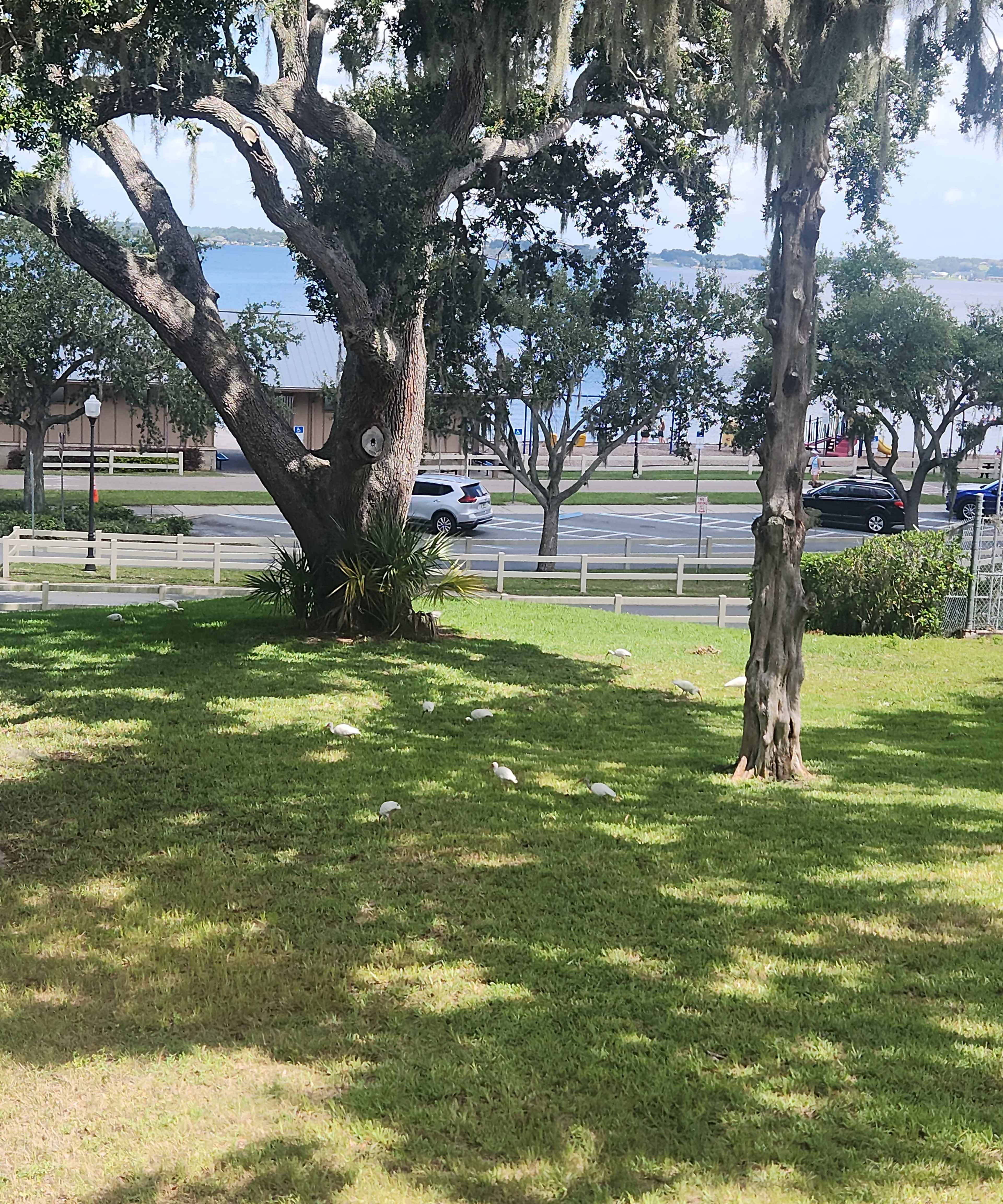 Lakeside Yard Waterfront Location for Photo Shoots, Sunset Views Picnics, and Quiet Celebrations Near Downtown Events Chain of Lakes, and Nature Trails Image in Clermont, Clermont, FL