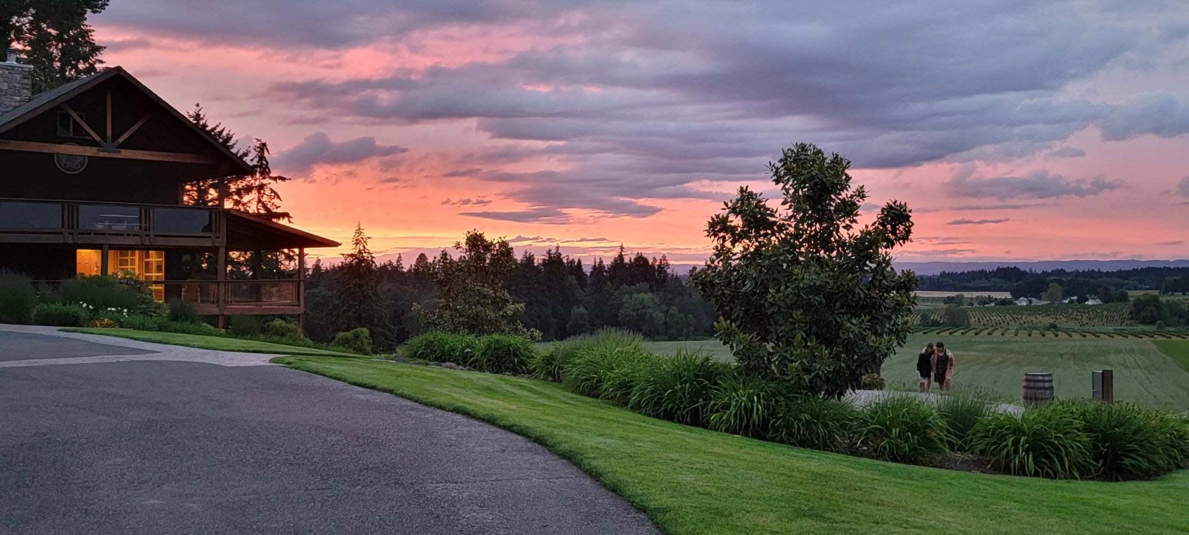 A couple walks along a pathway beside a vineyard at sunset, with a large house and lush greenery in the foreground.