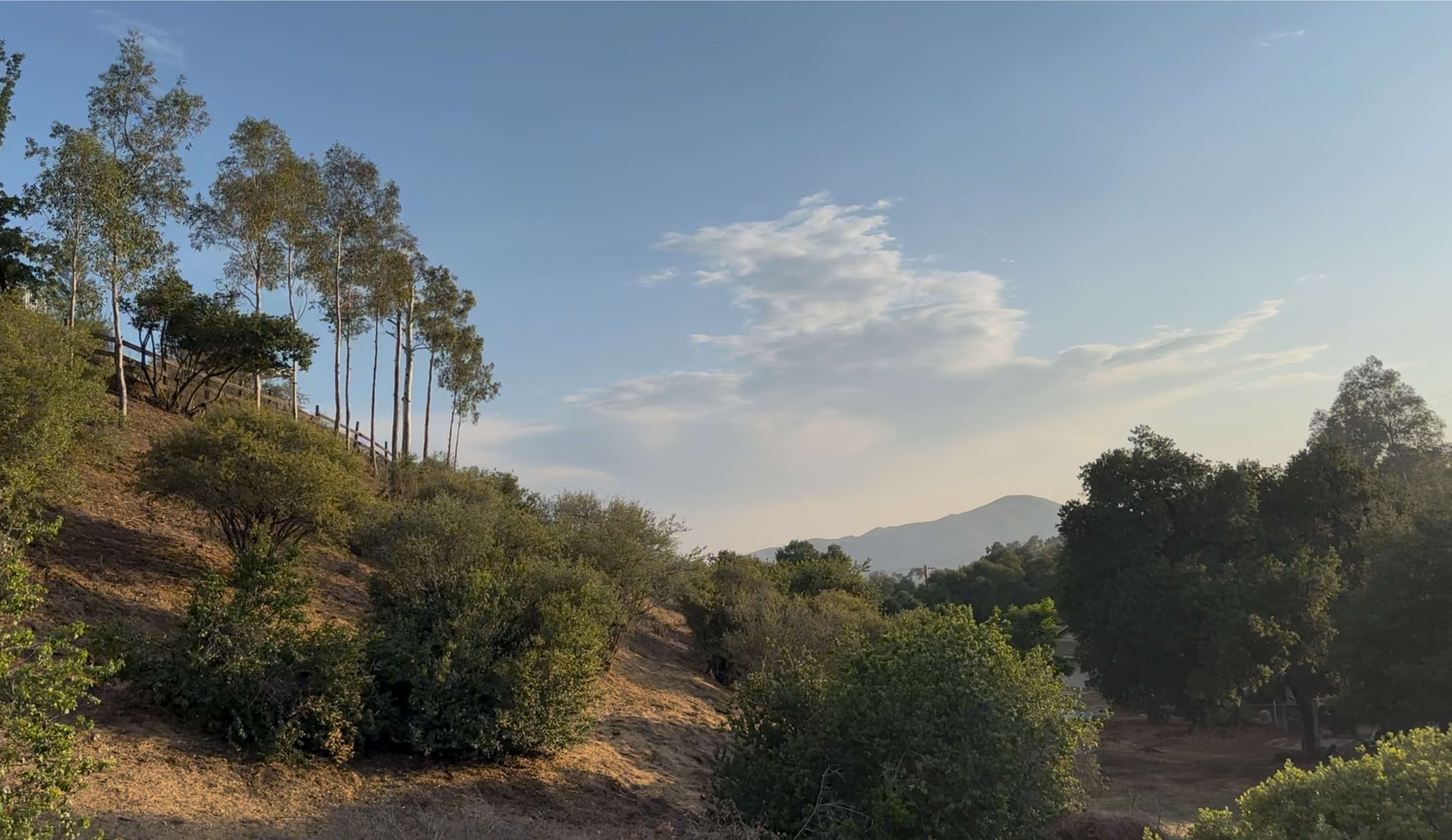 The image shows a hillside covered in shrubs and trees, with a clear sky and distant mountains in the background.
