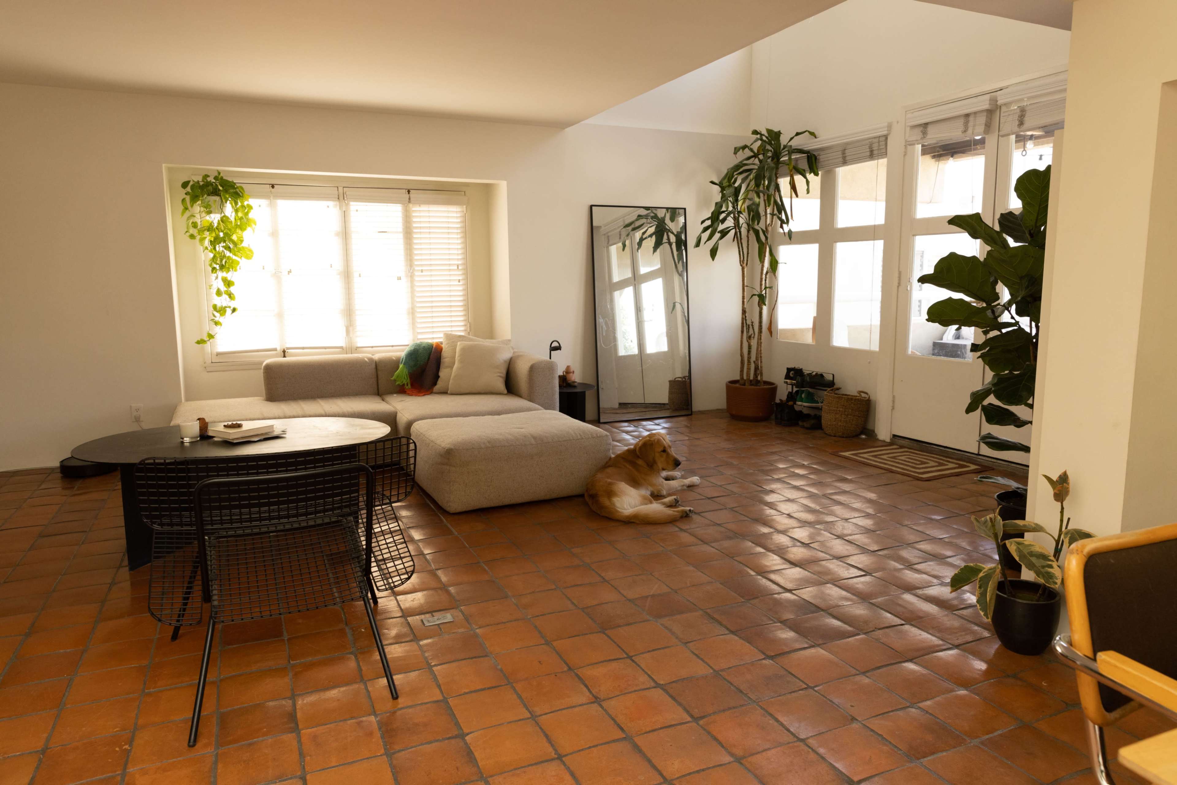 A spacious living room features a large sectional couch, a coffee table, potted plants, and a dog resting on the terracotta tiled floor.
