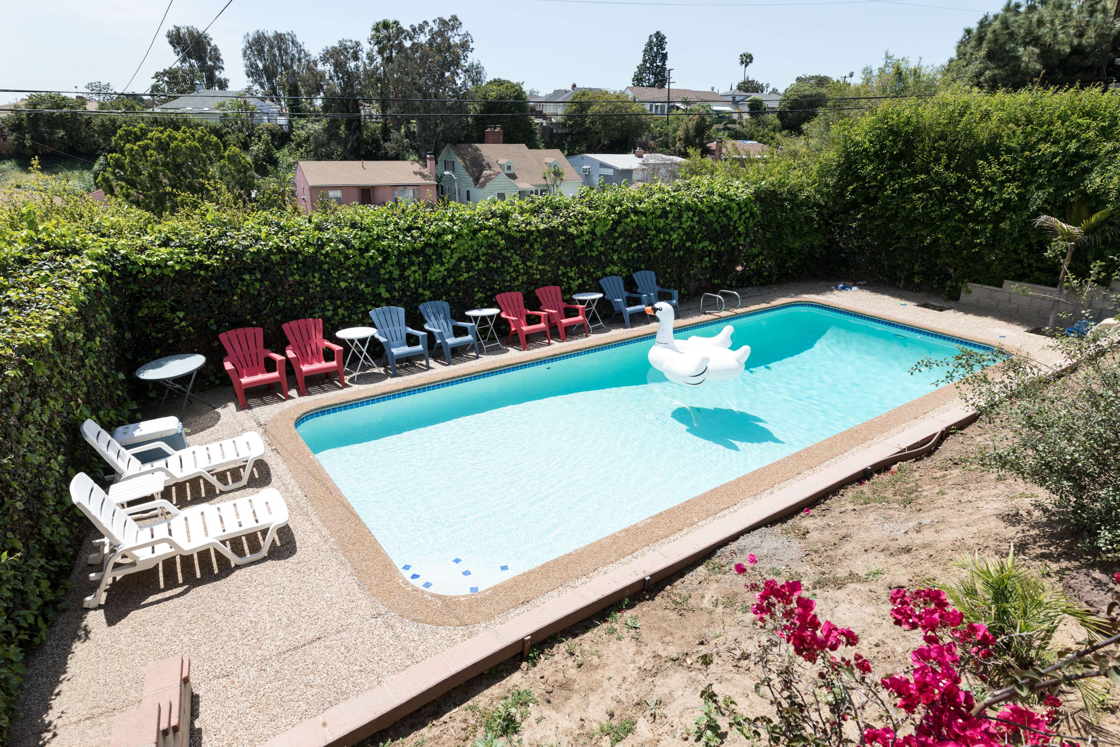 The image shows a swimming pool surrounded by colorful lounge chairs and a large inflatable swan float, set in a landscaped backyard.