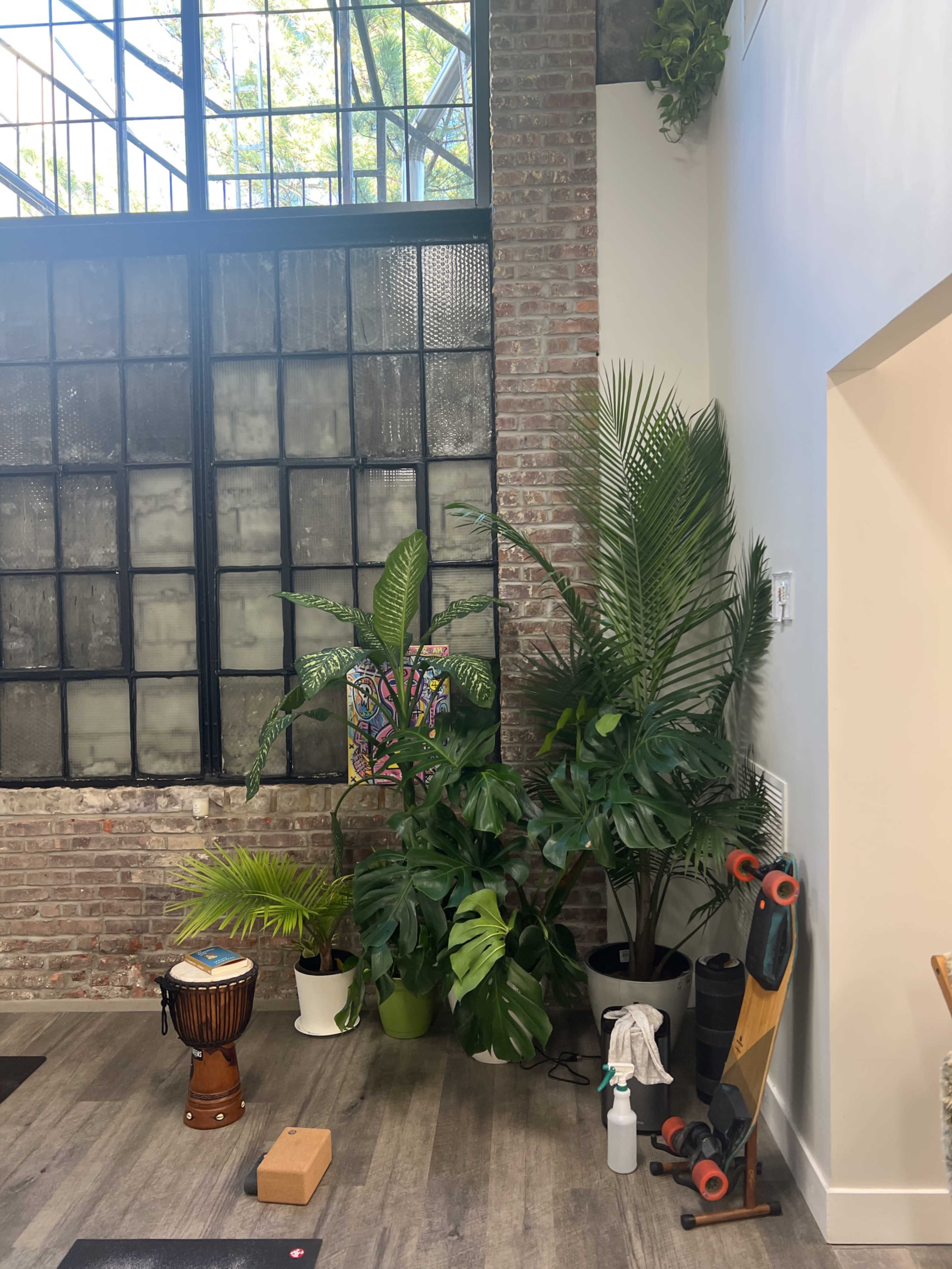 The image shows a corner of a room with large indoor plants, a wooden drum, a spray bottle, and a skateboard against a wall of exposed brick and large windows.