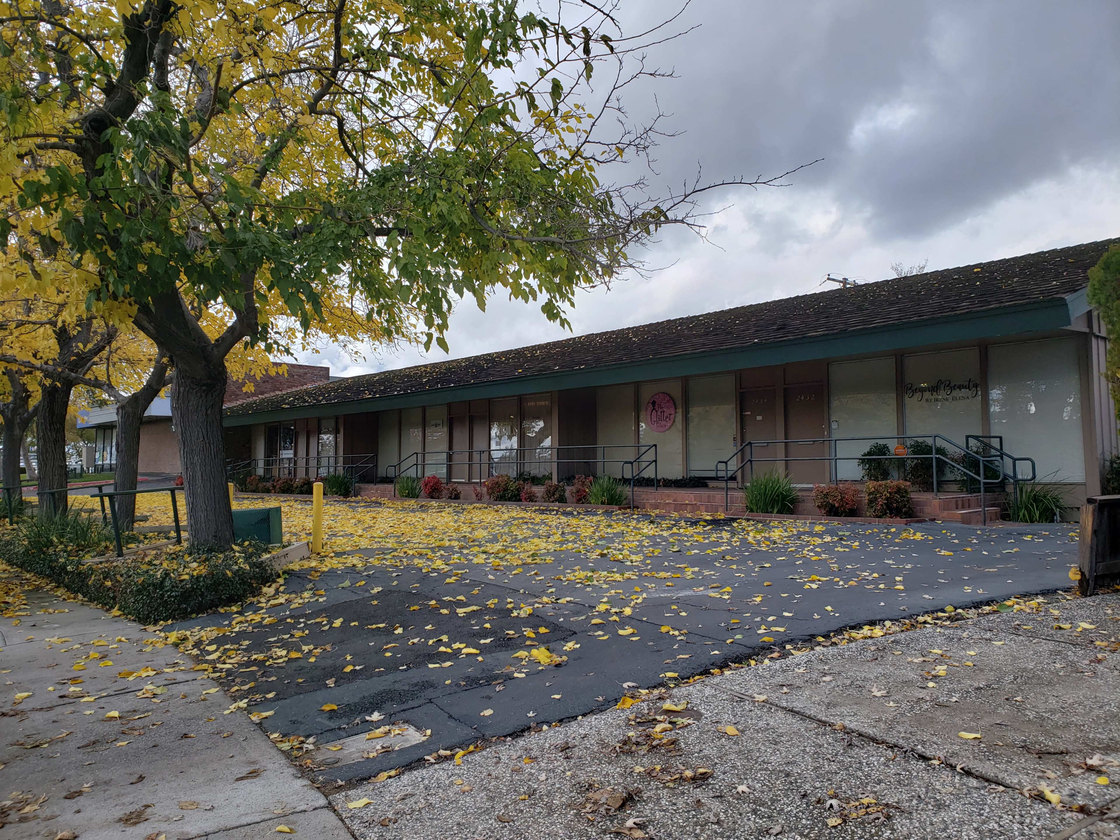 A single-story building with a landscaped front yard is surrounded by yellow-leaved trees and a carpet of fallen leaves on the ground.