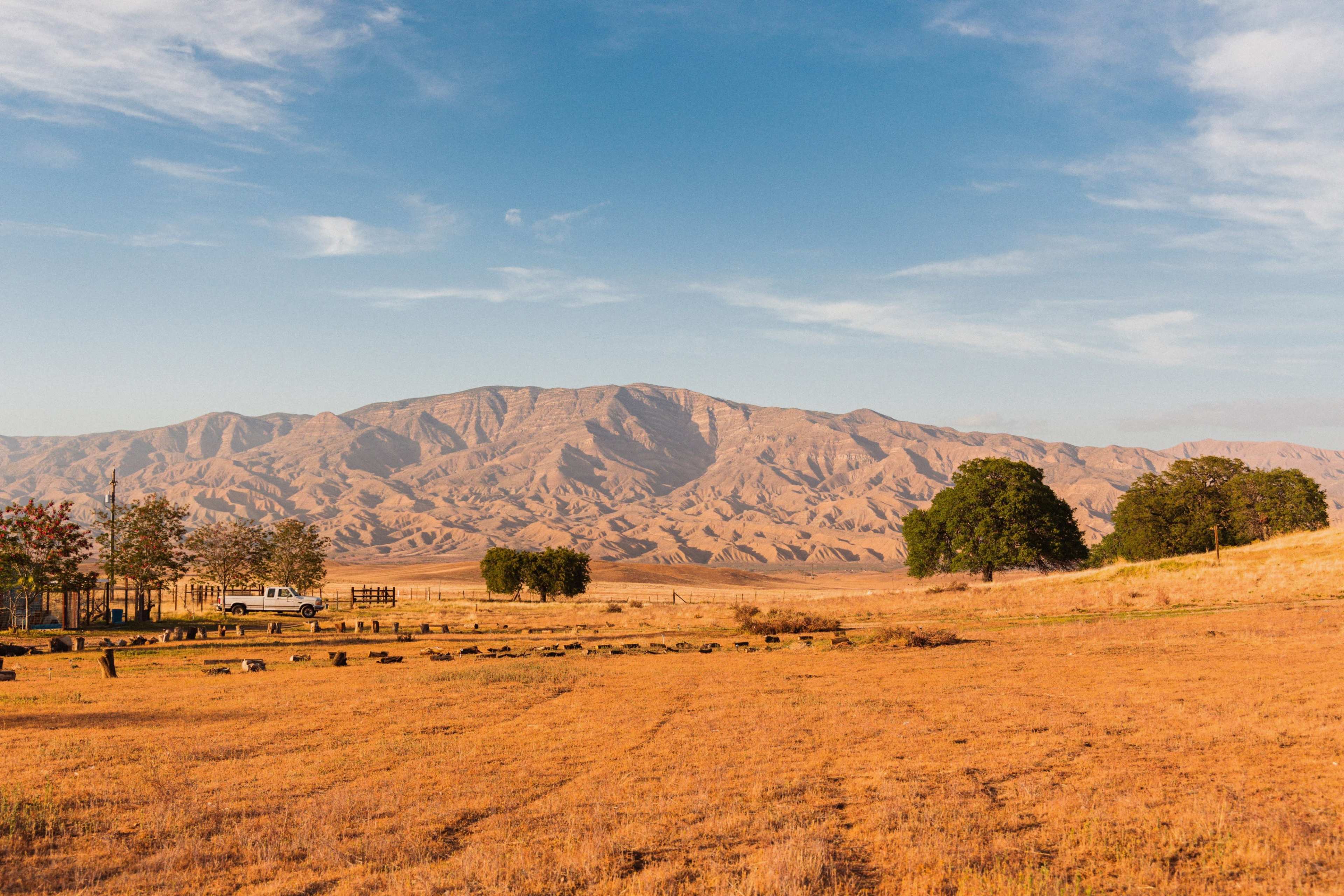 A wide landscape featuring rolling brown hills, sparse trees, and a clear blue sky in the background.