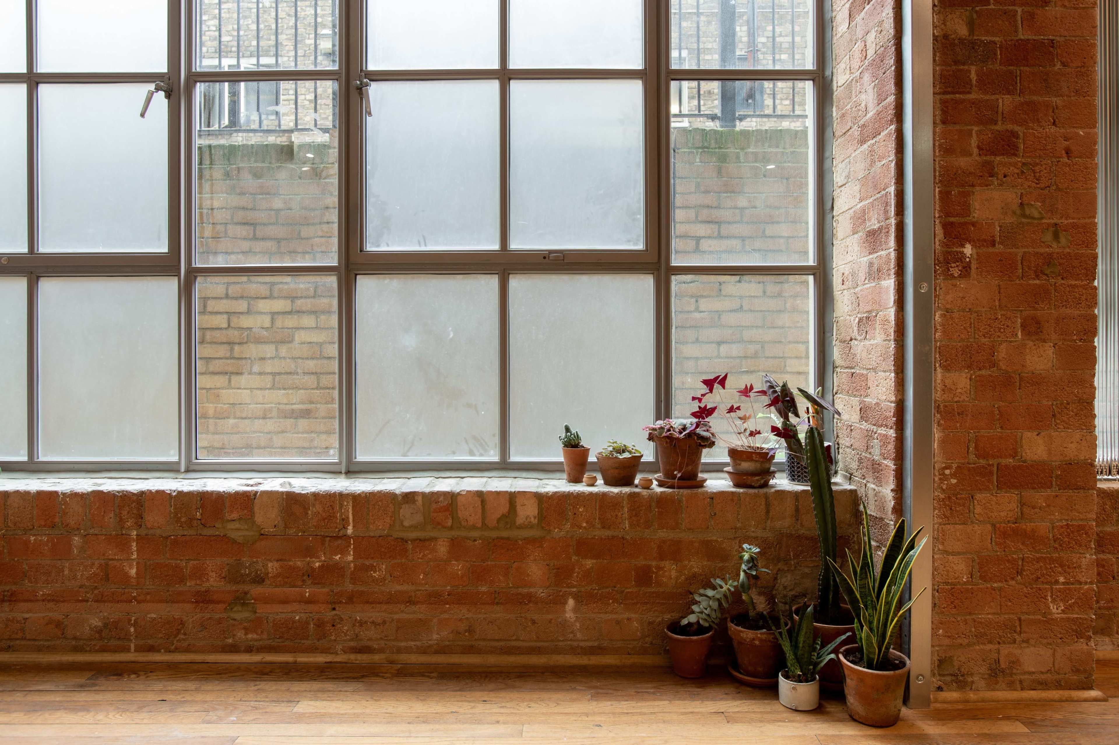 A brick wall with large windows, featuring several potted plants on a ledge.