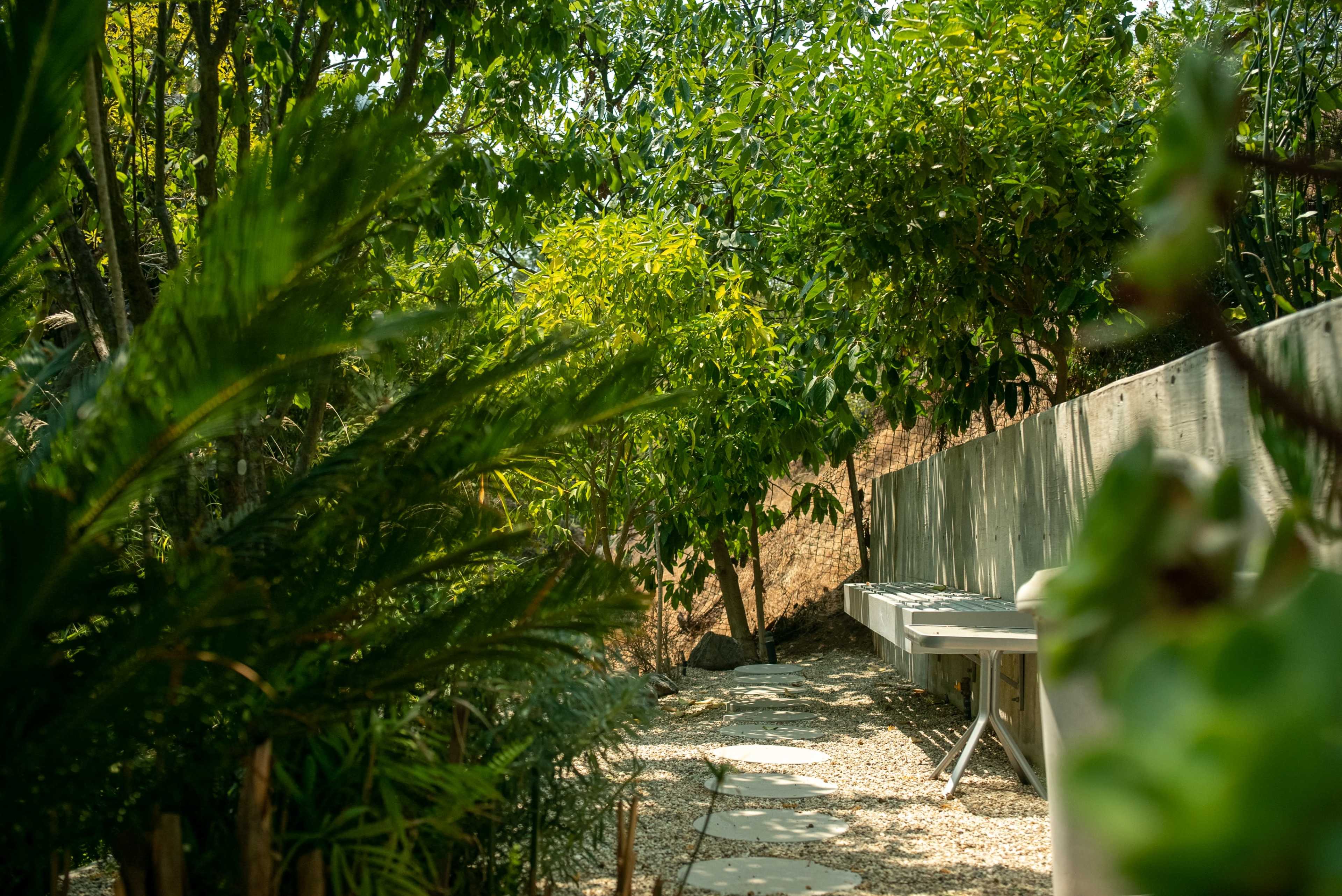 A path lined with stepping stones leads through a garden filled with various trees and greenery, beside a concrete wall.