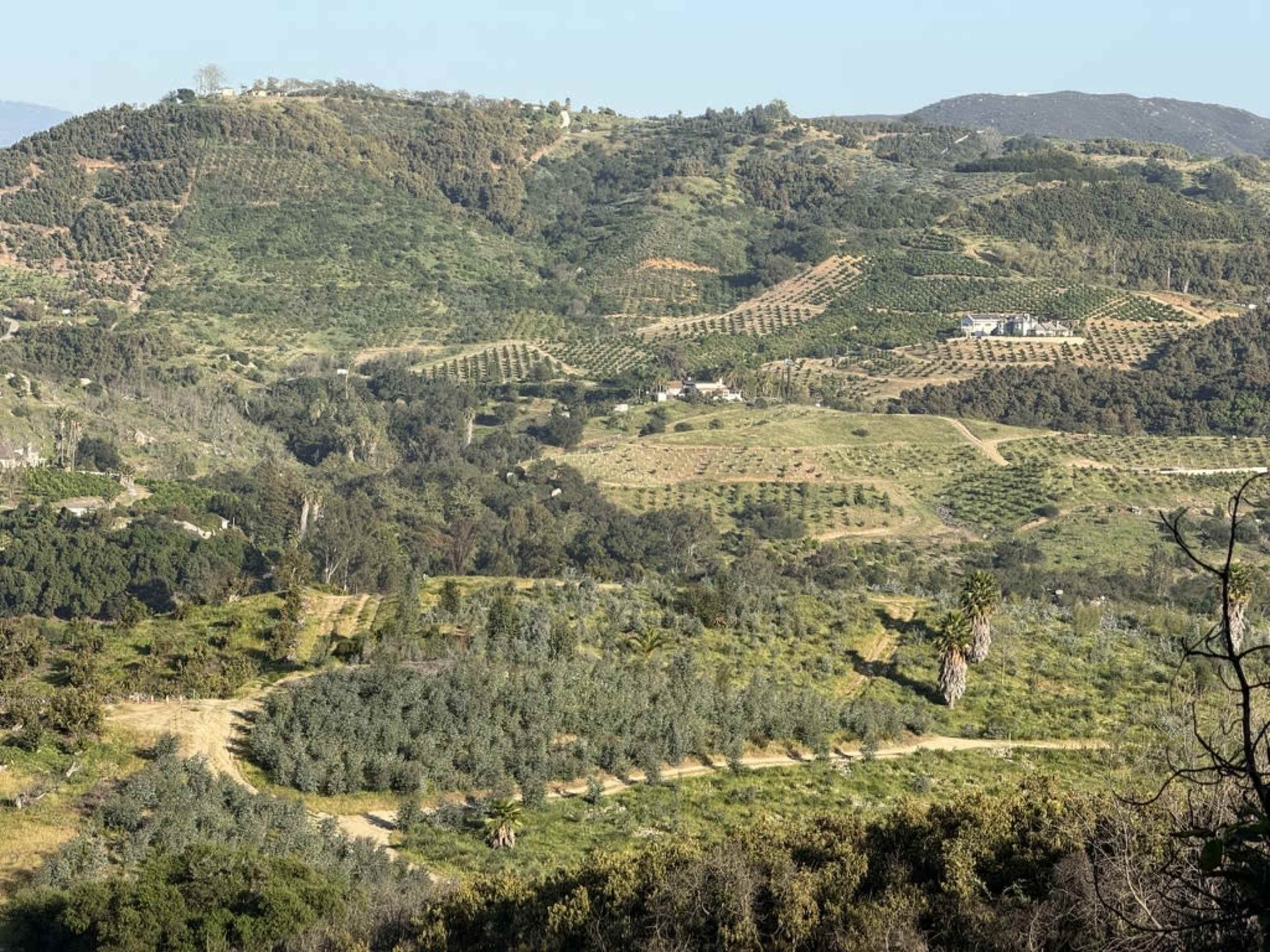 Private Avocado Ranch with Cinematic Hillside Views Image in , Temecula, CA