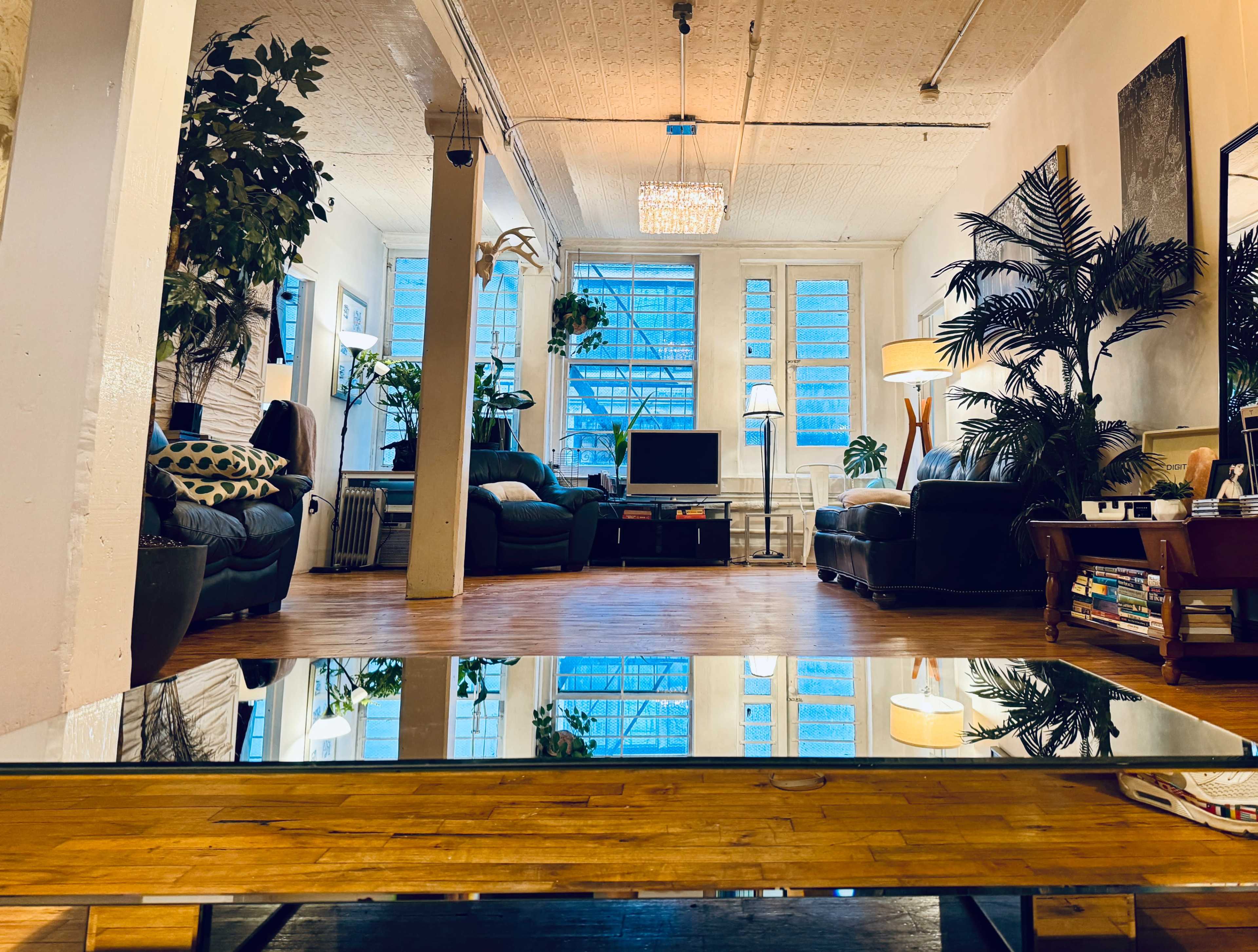 The image shows a spacious living area with large windows, potted plants, and seating arranged around a coffee table.