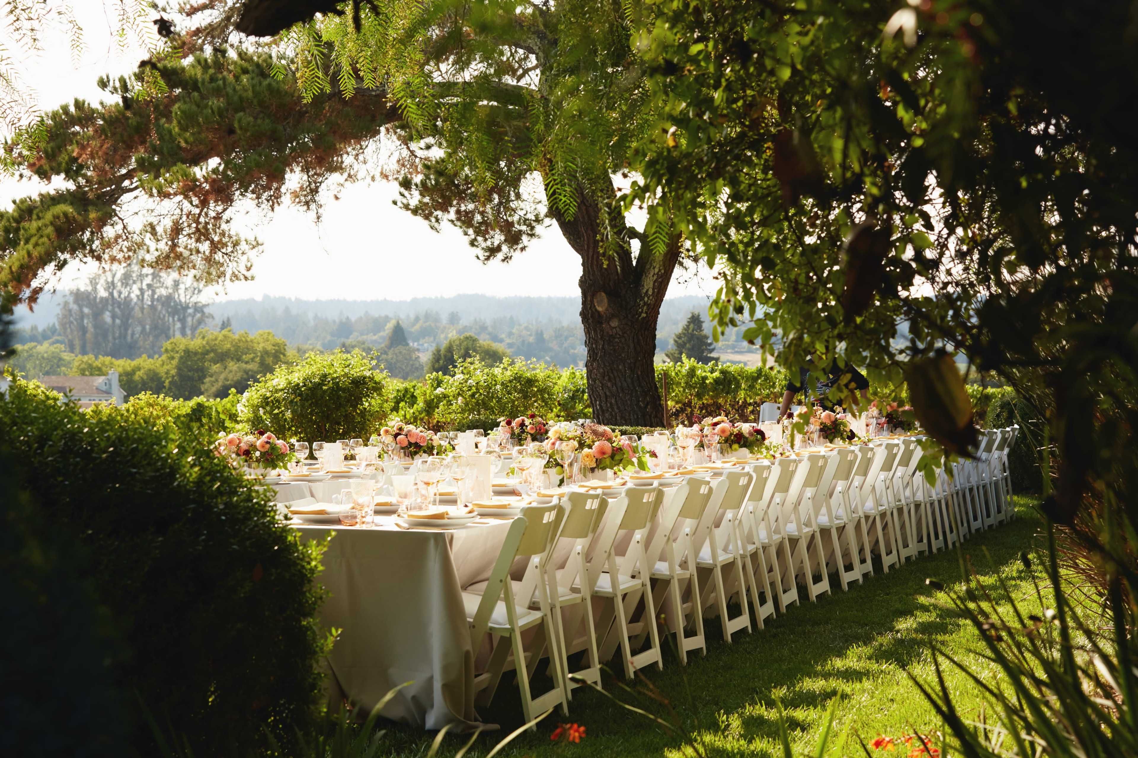 Stunning Boutique Vineyard Estate for Workshops, Retreats, Photoshoots, Off-Sites & Gatherings Image in , Sebastopol, CA