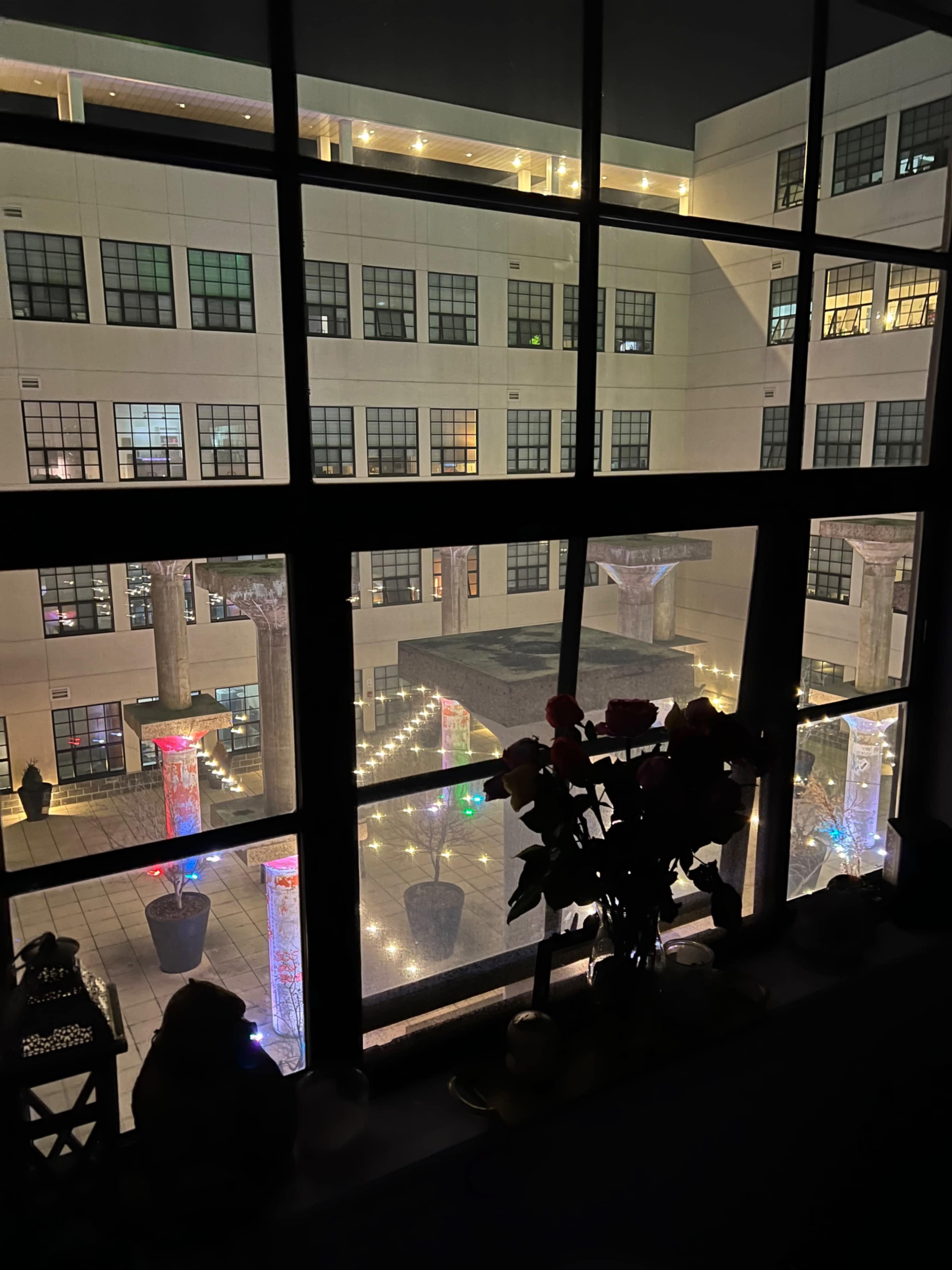 A courtyard illuminated with decorative lights, viewed through a window featuring indoor plants in the foreground.