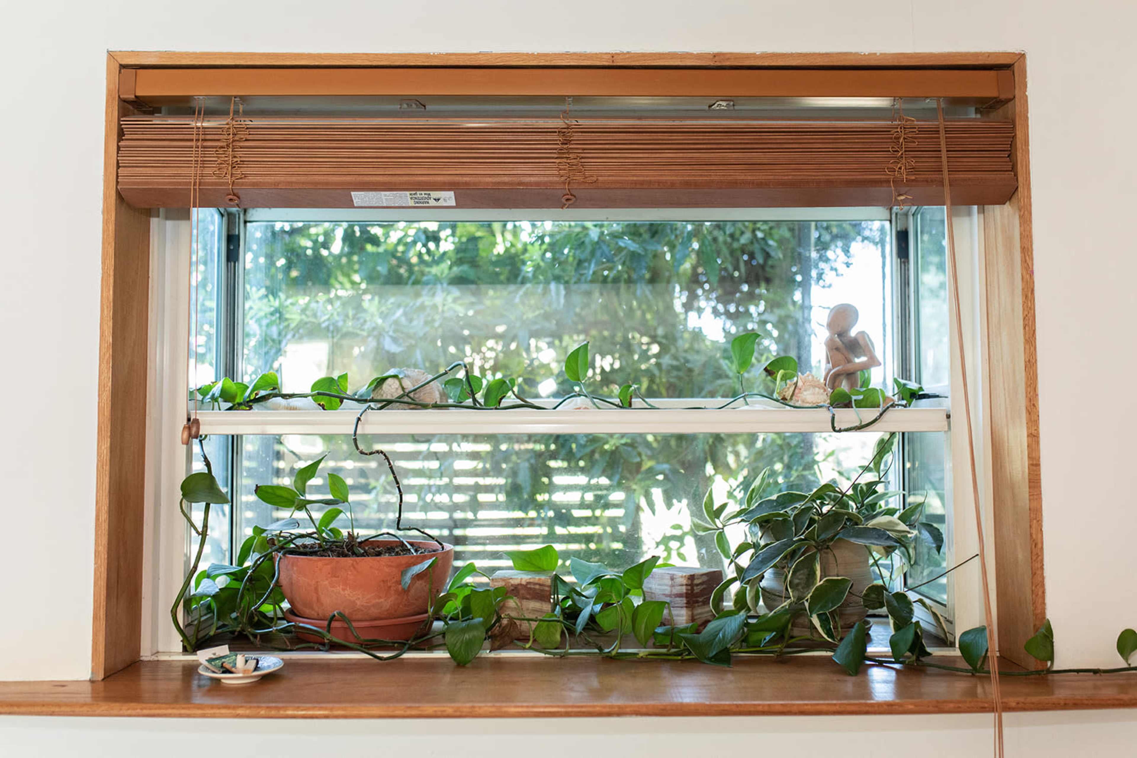A window with wooden blinds features potted plants and decorative items on the sill, framed by greenery outside.