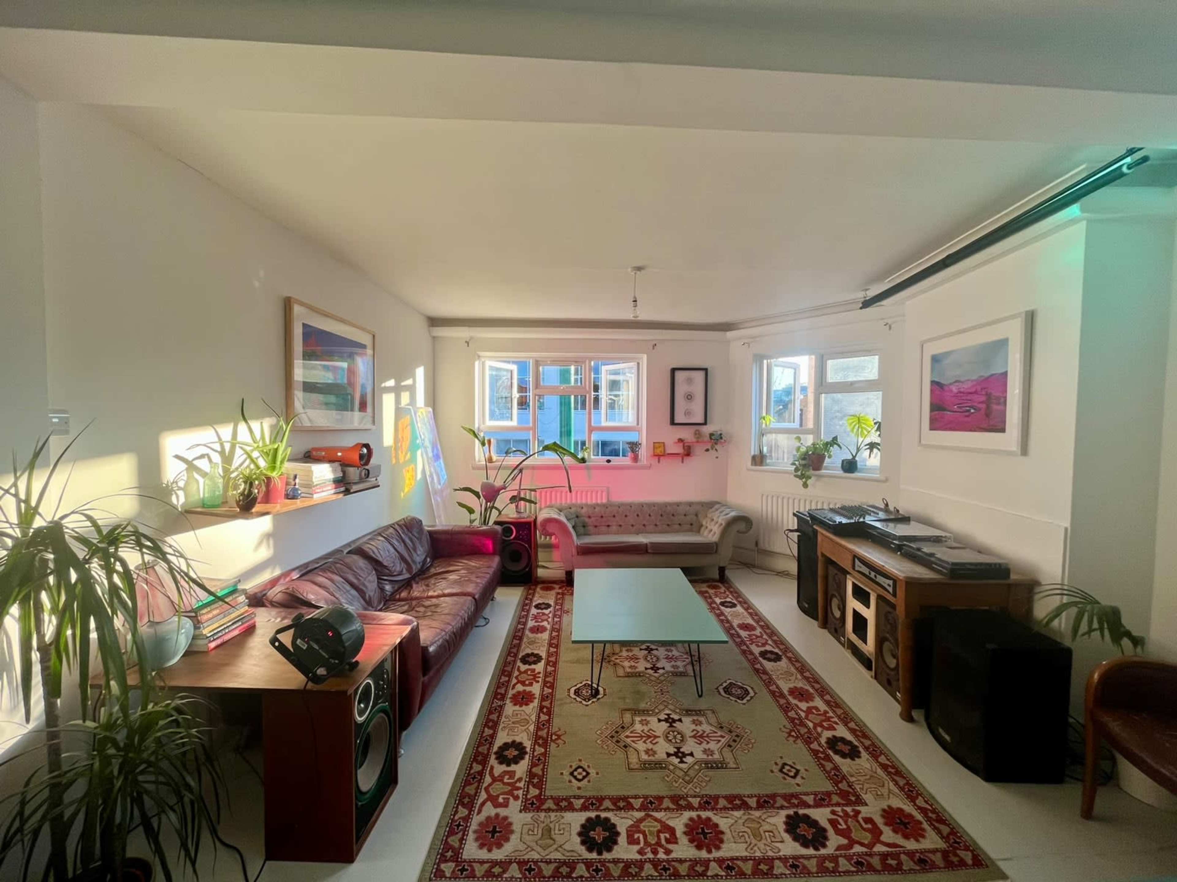The image shows a spacious living room with a mix of furniture, including a maroon sofa, a patterned rug, a glass coffee table, and various indoor plants, illuminated by sunlight coming through the windows.