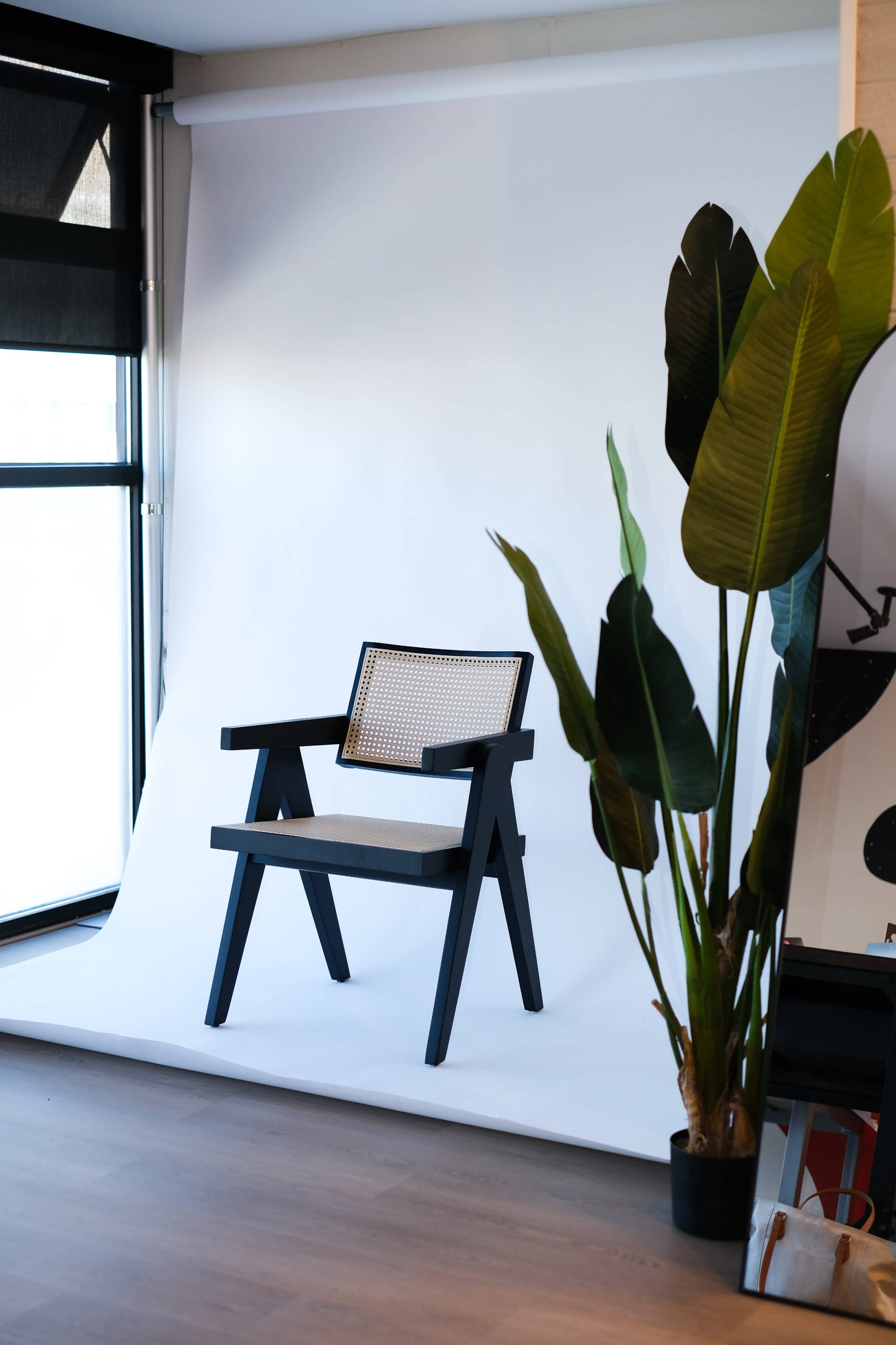 A black wooden chair with a woven seat is positioned in front of a white backdrop, beside a large green potted plant.