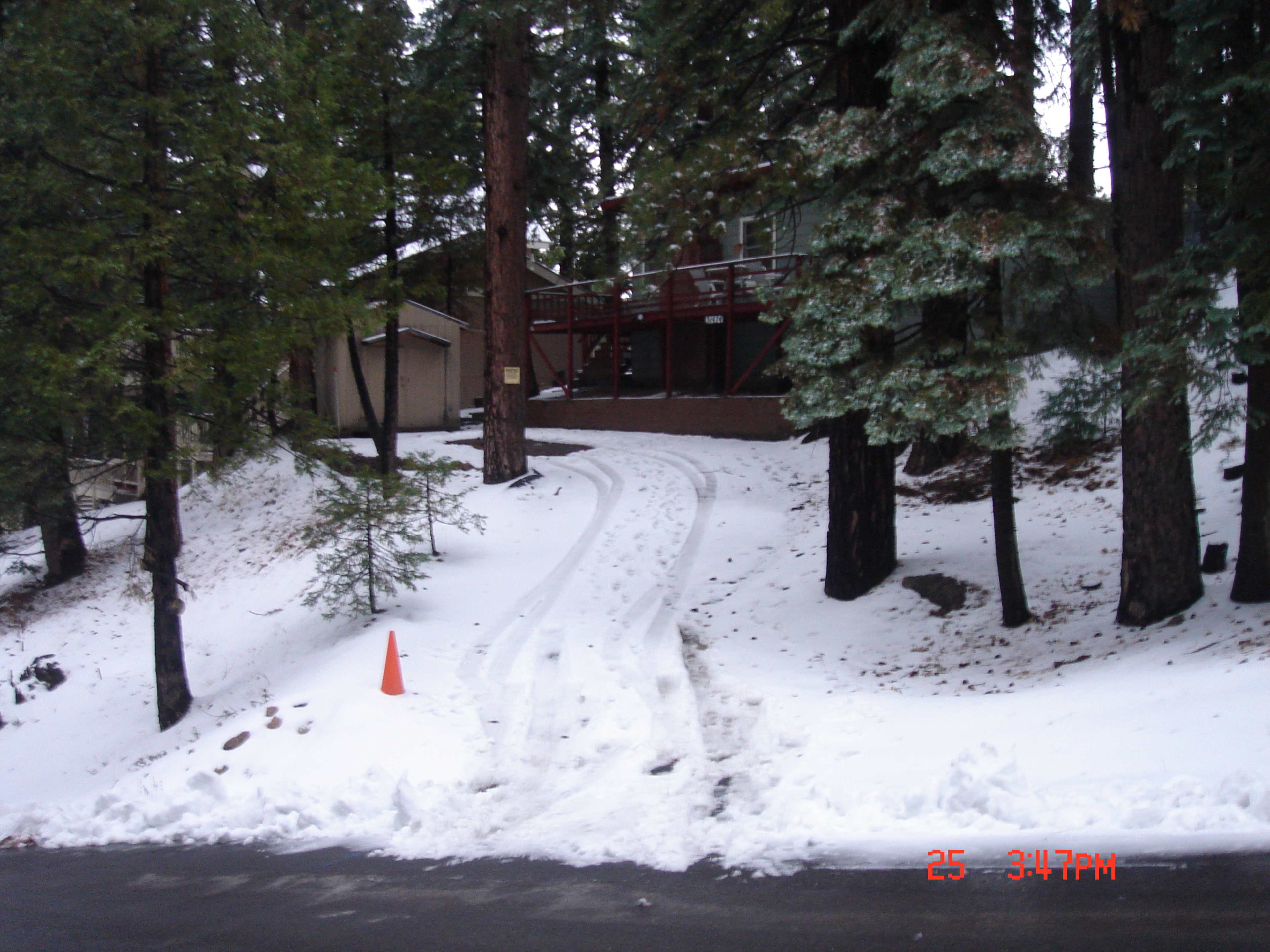 A snowy driveway leads up to a cabin nestled among tall pine trees.