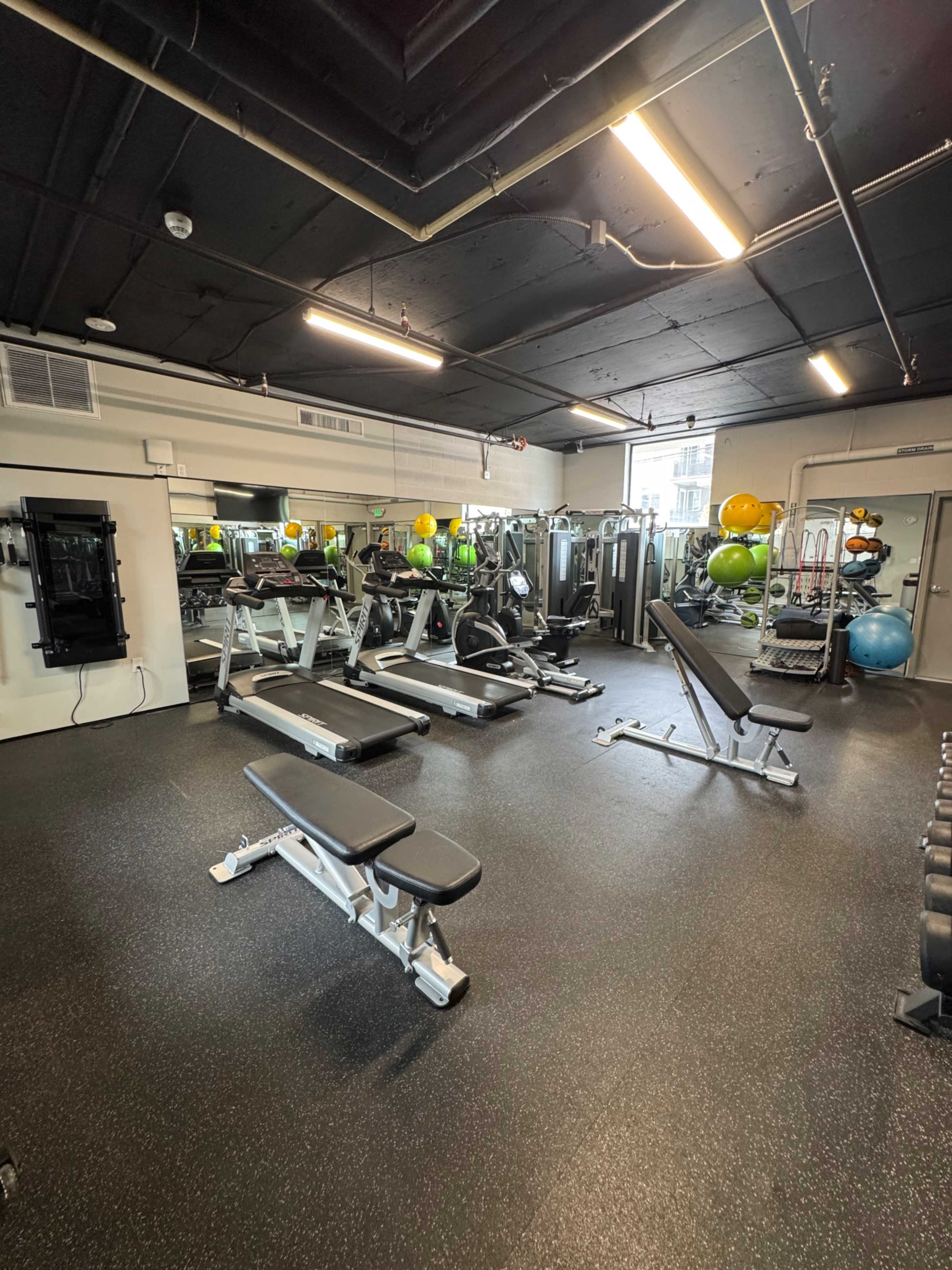 The image shows a well-equipped gym with various exercise machines, free weights, and exercise balls arranged in an open space.