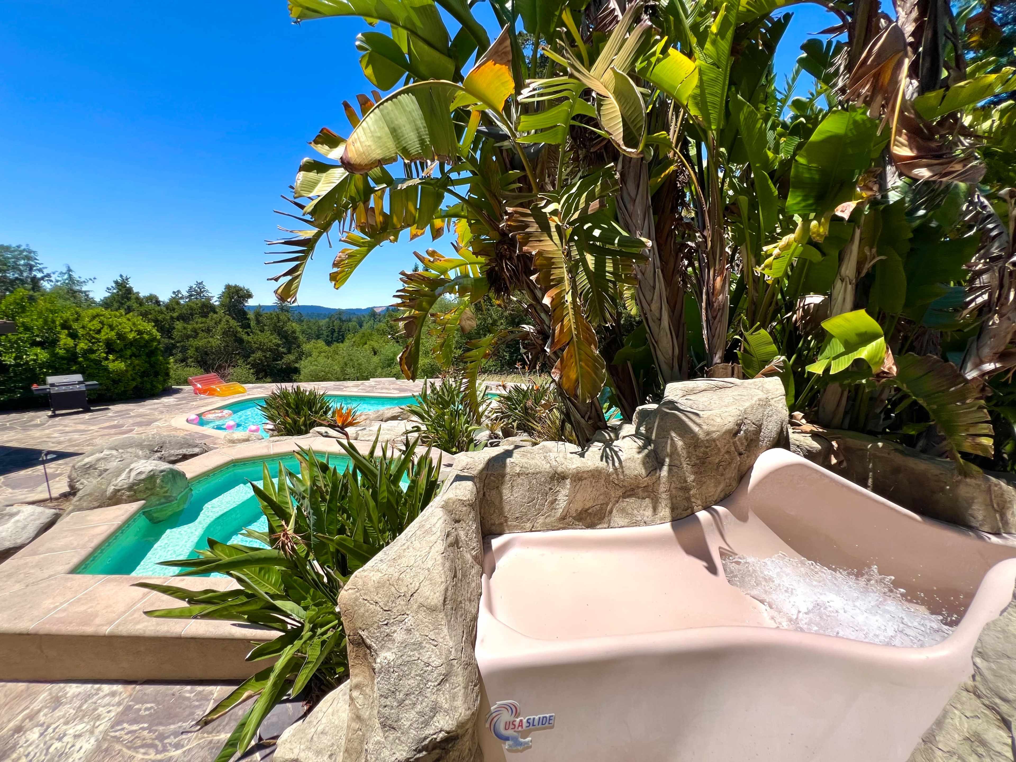 Tropical Paradise with Slide + View in the Santa Cruz Mountains Image in , Scotts Valley, CA