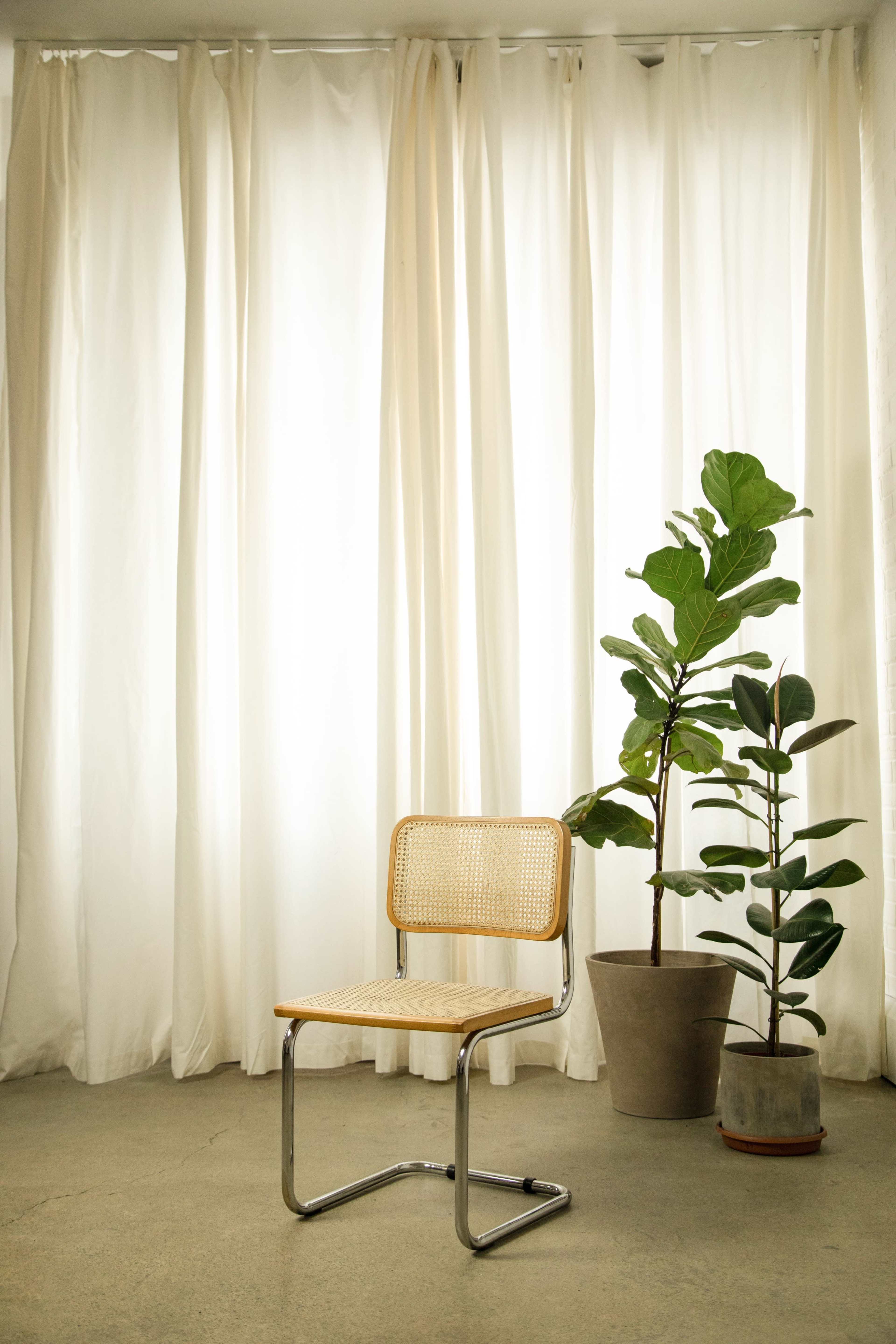 A simple chair is positioned on a concrete floor near potted plants and white curtains.