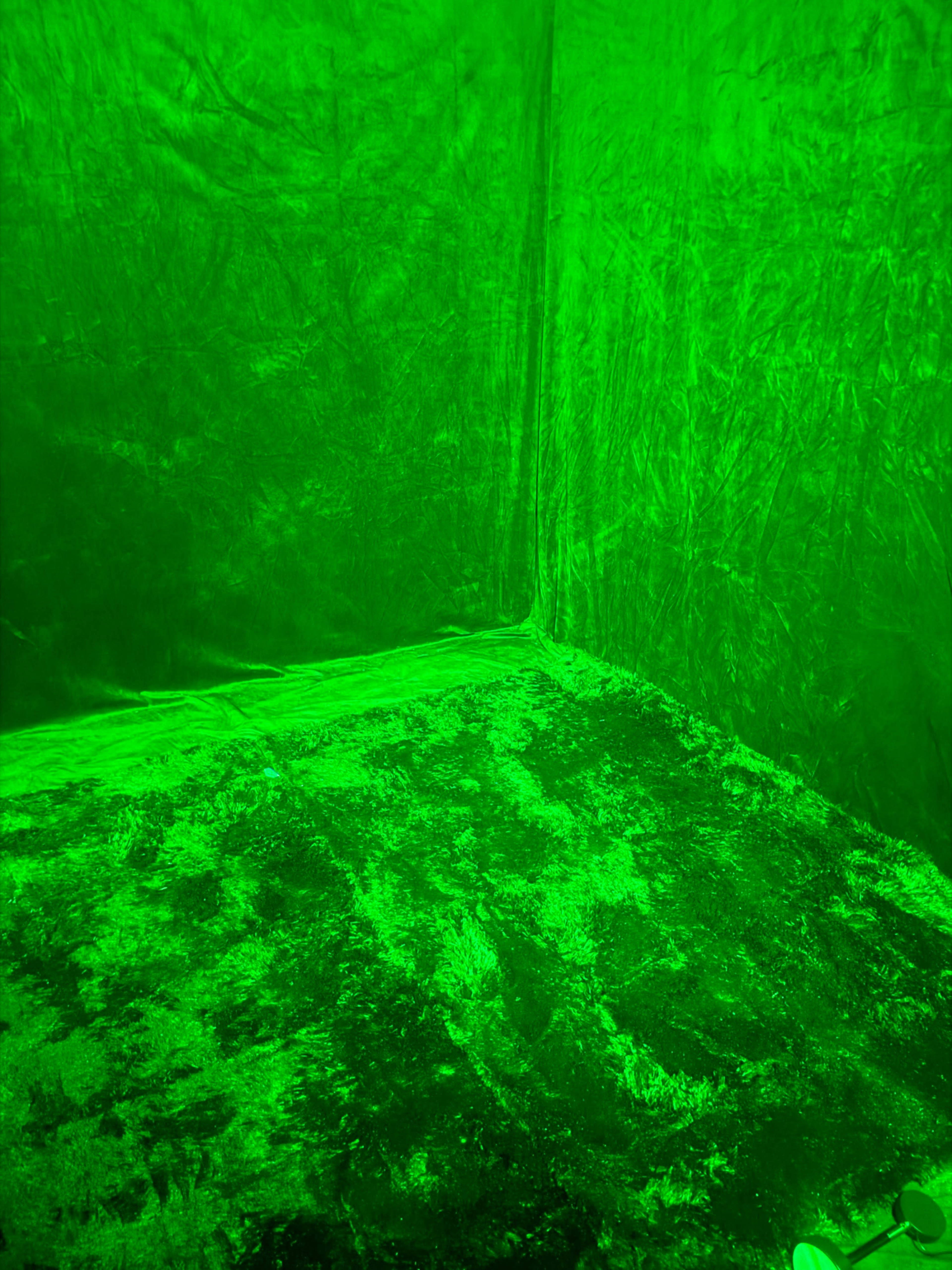 The image shows a small, empty room with walls and flooring illuminated in a bright green light.