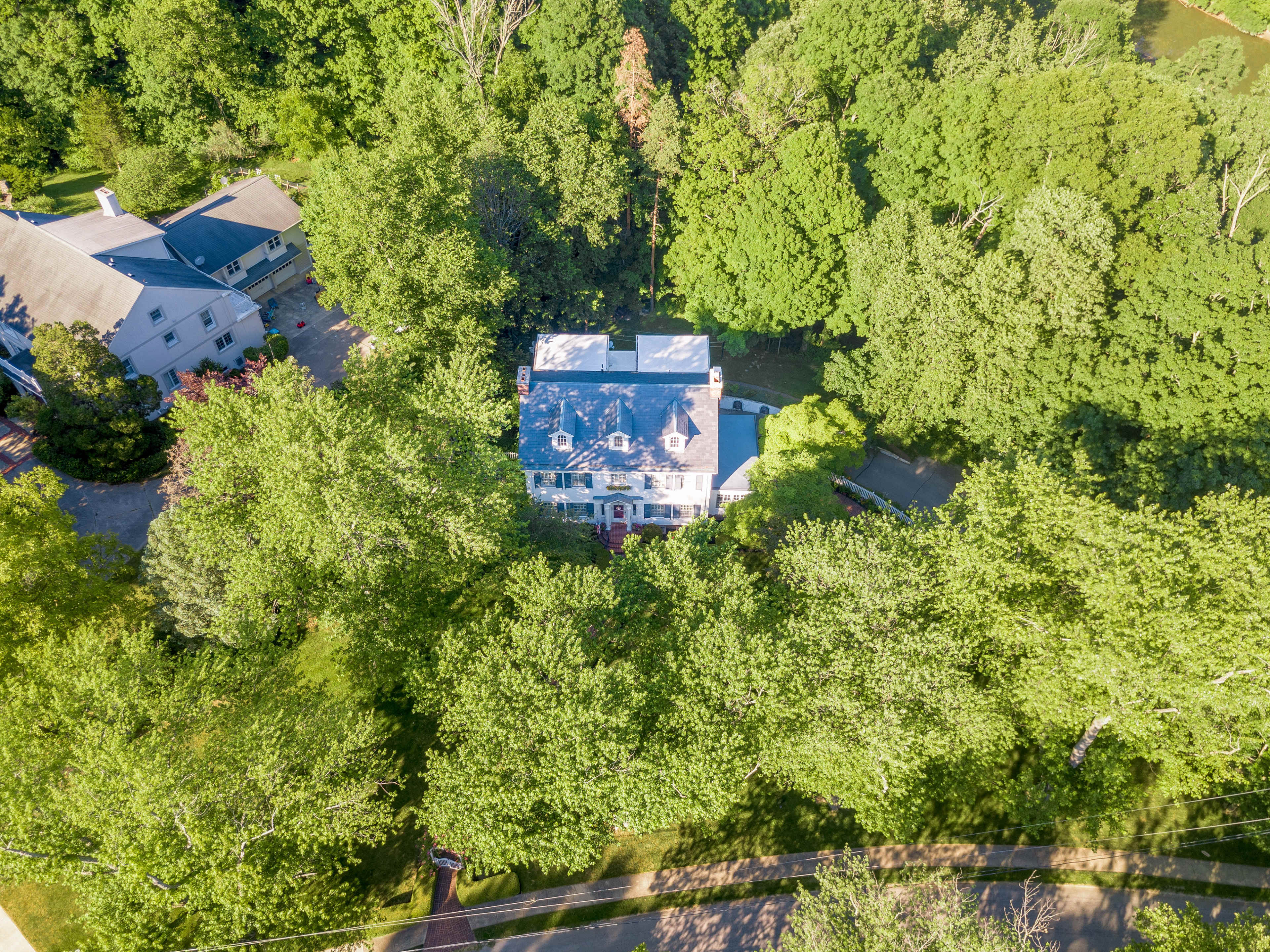 A large house with a blue roof is surrounded by dense green trees and foliage.