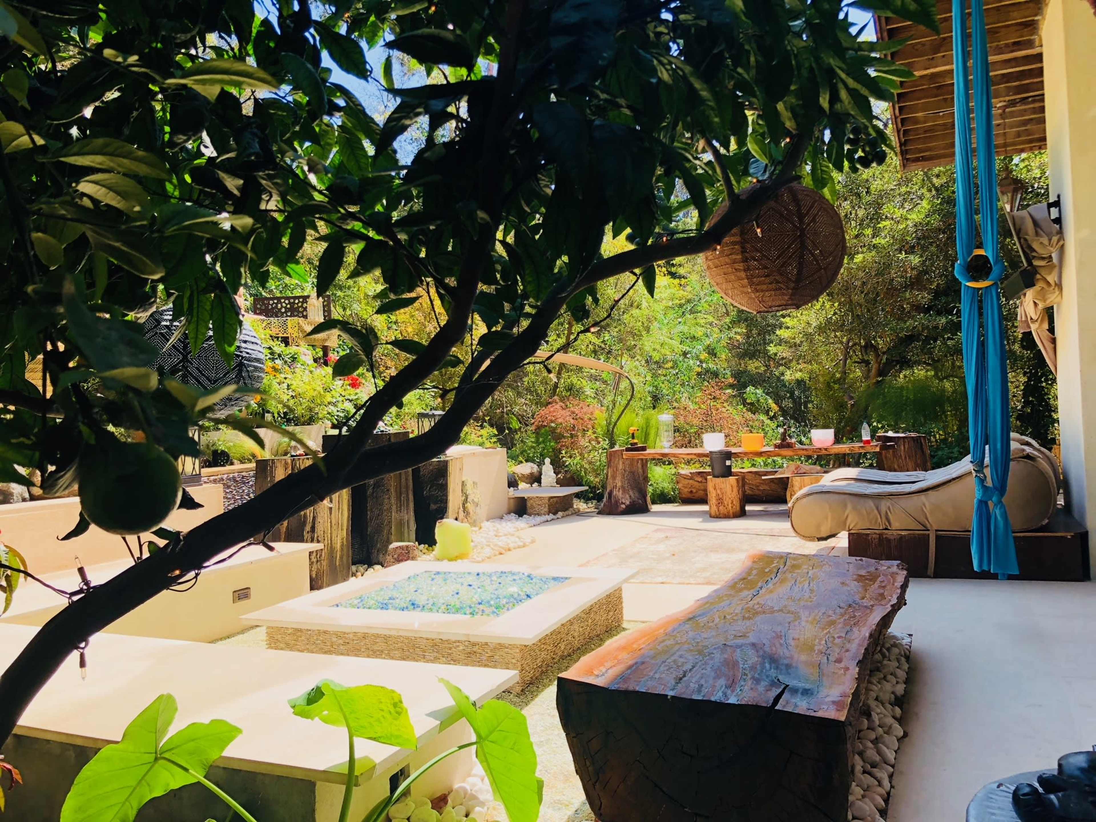 A lush outdoor garden area featuring a small pool, wooden seating, and a large wooden table surrounded by greenery.