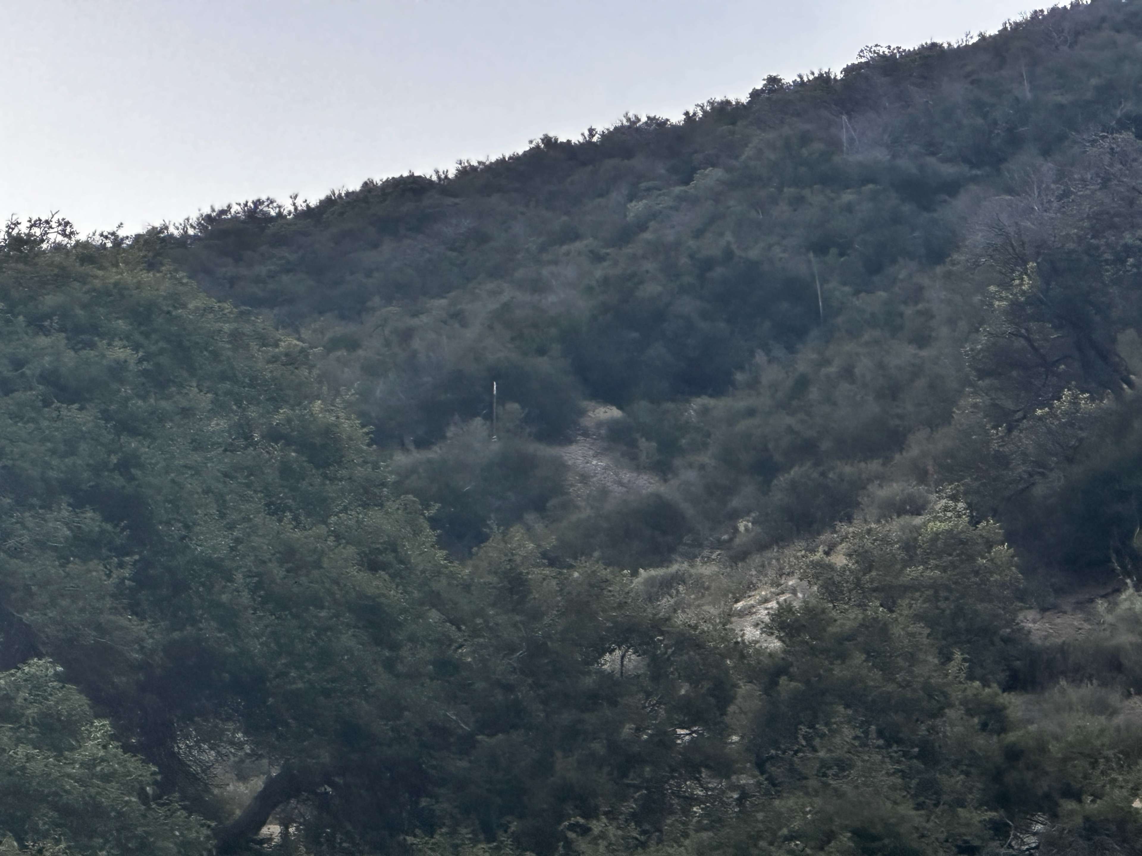 Wild Sage Hill - Cinematic Wilderness Film Location Image in Leona Valley, Leona Valley, CA