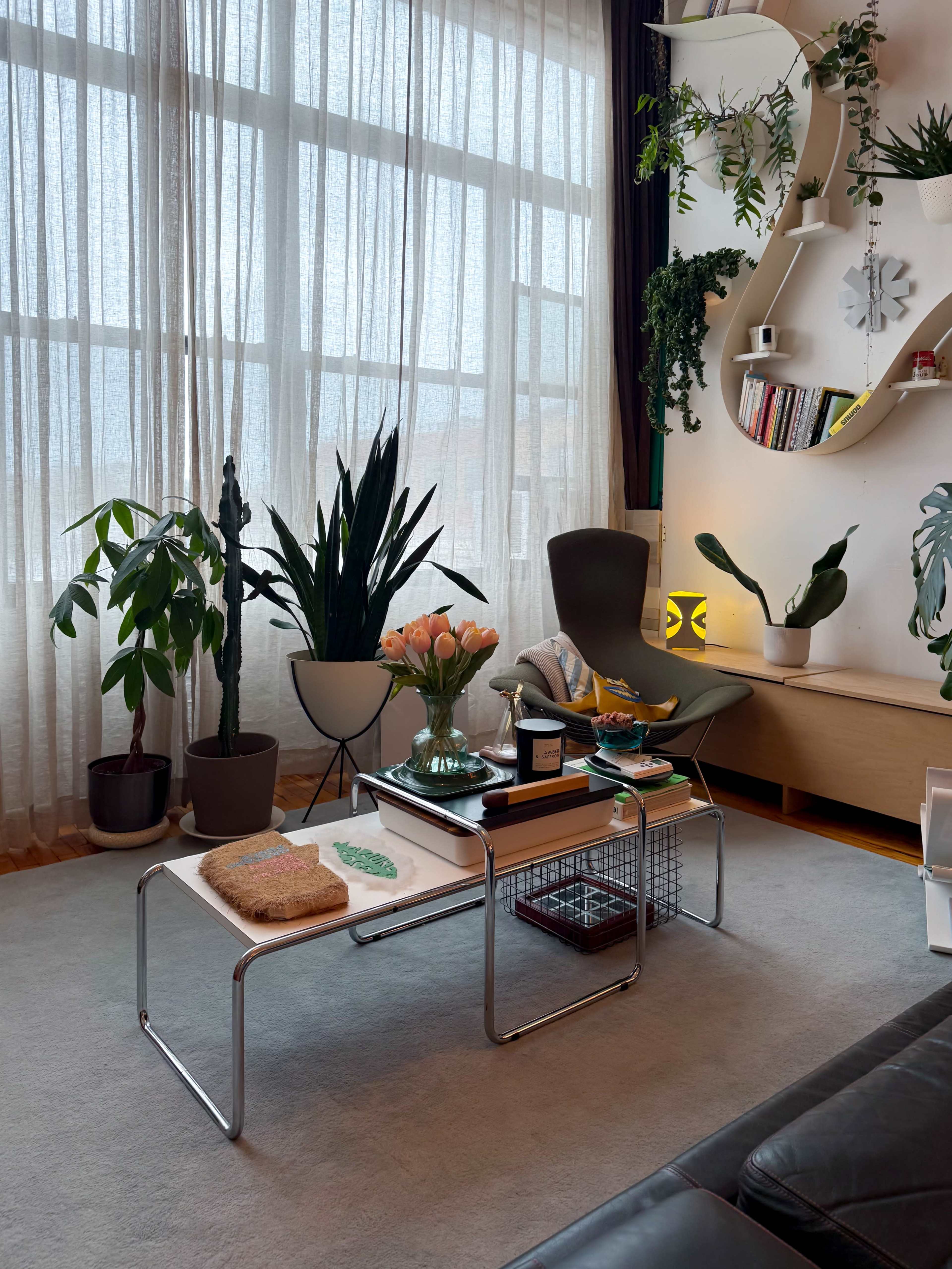 The image features a modern living room with a coffee table, several indoor plants, a large window with sheer curtains, and a shelf displaying decorative items.