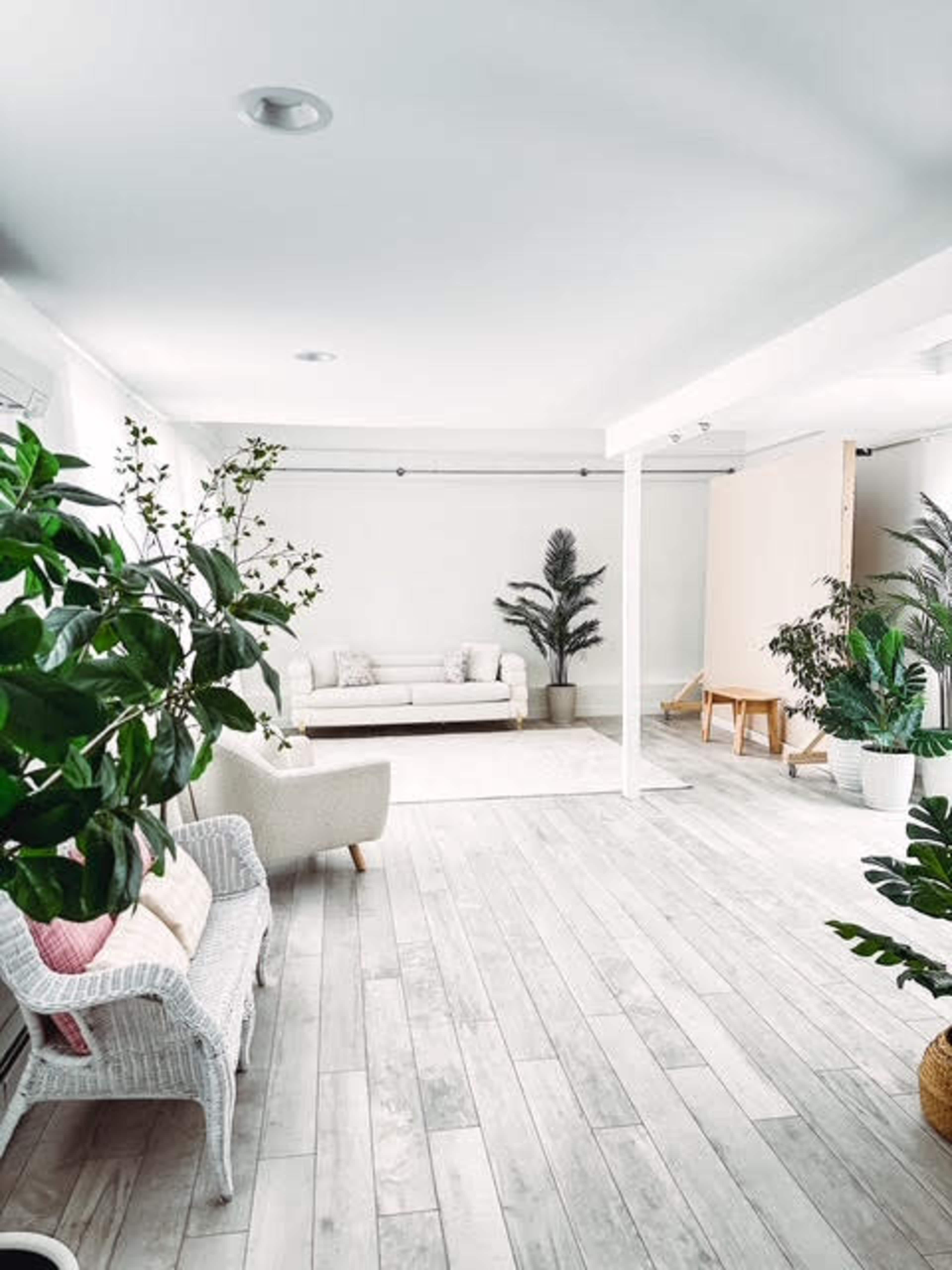 Minimal, light-filled creative space in residential retreat lot Image in Duxbury, Duxbury, MA