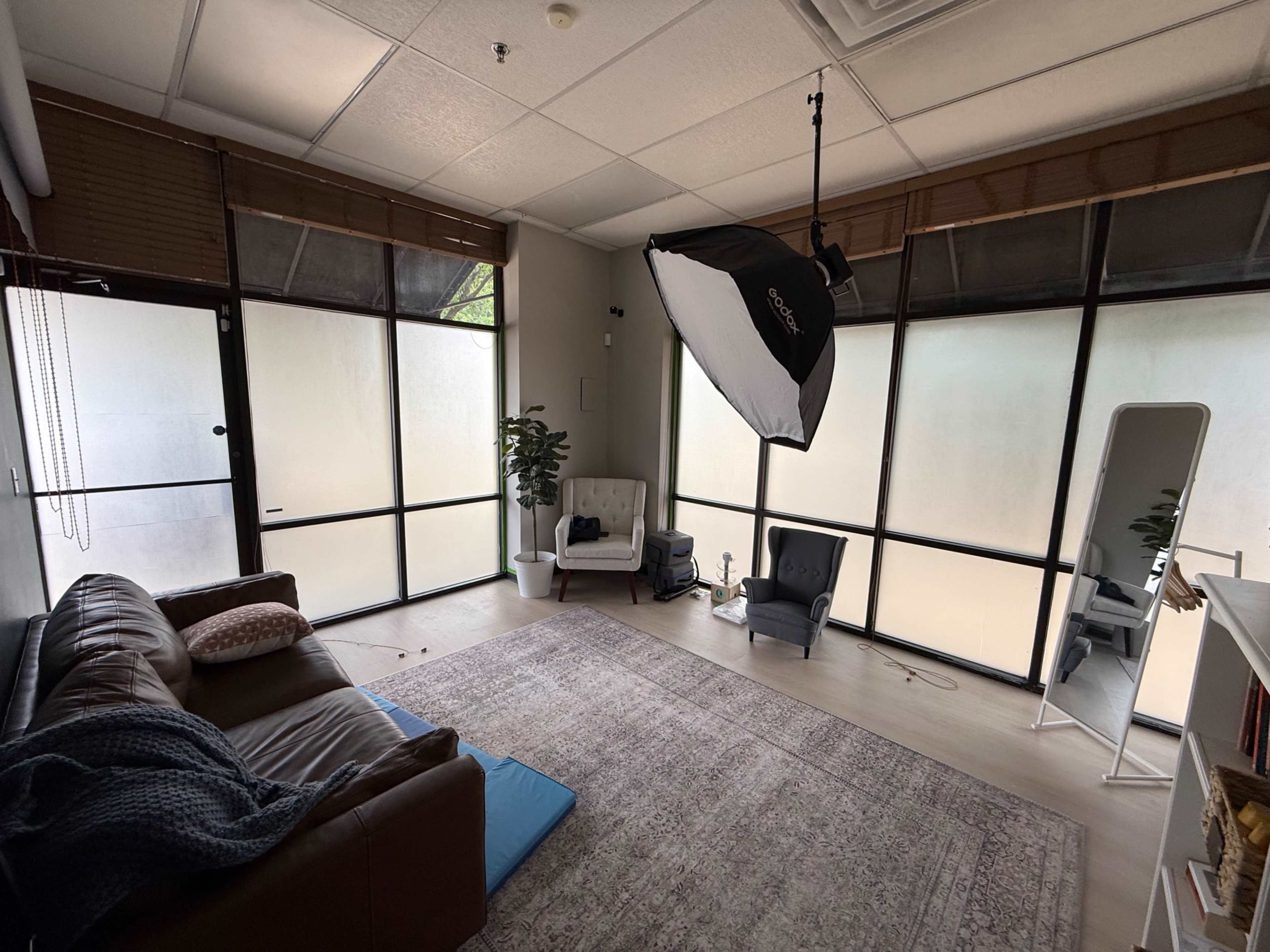 The image shows a cozy indoor space with a brown leather couch, a large rug, and large windows with soft natural light filtering in.
