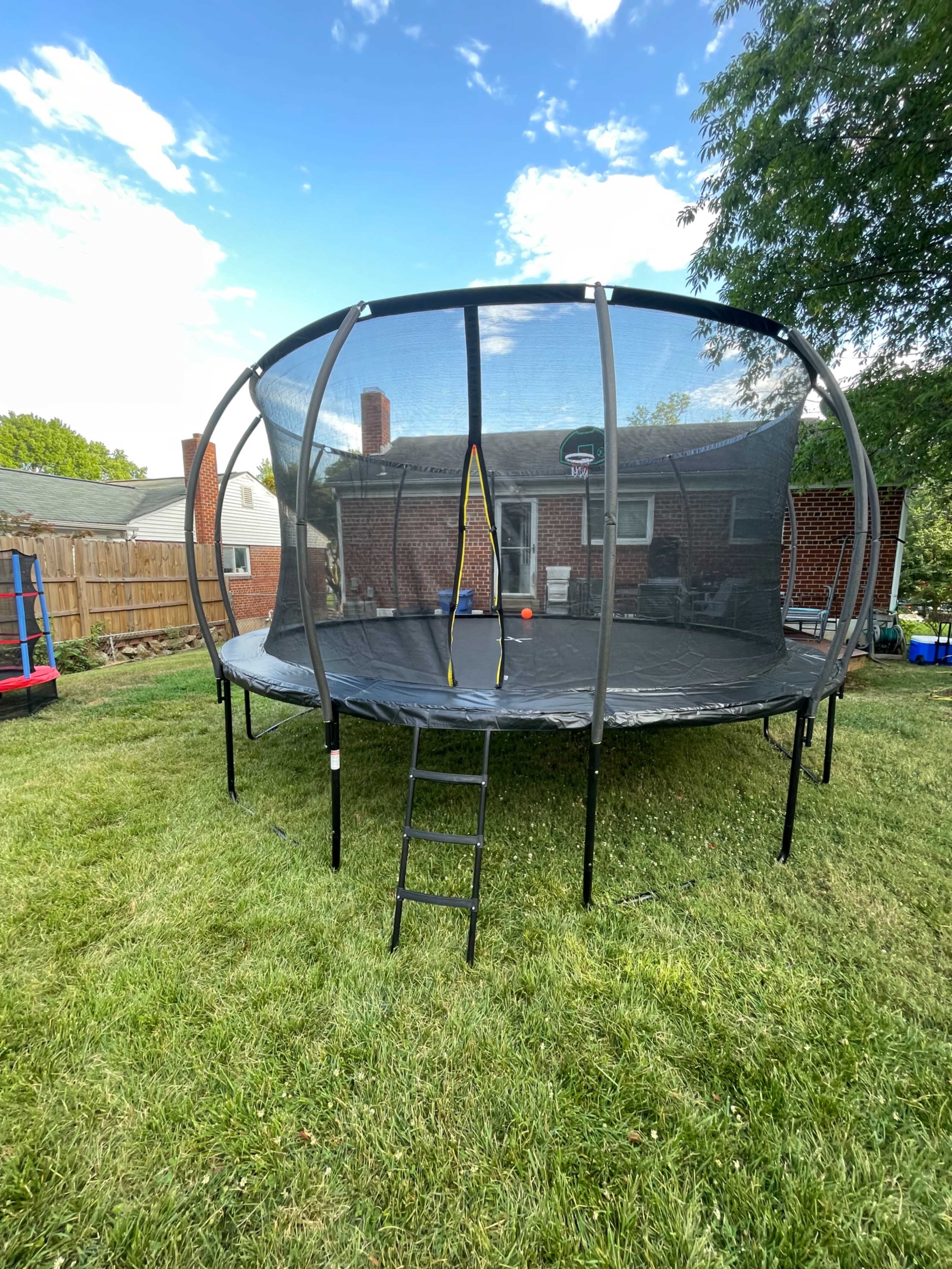 A large black trampoline with a mesh enclosure and a ladder is set up in a grassy backyard.