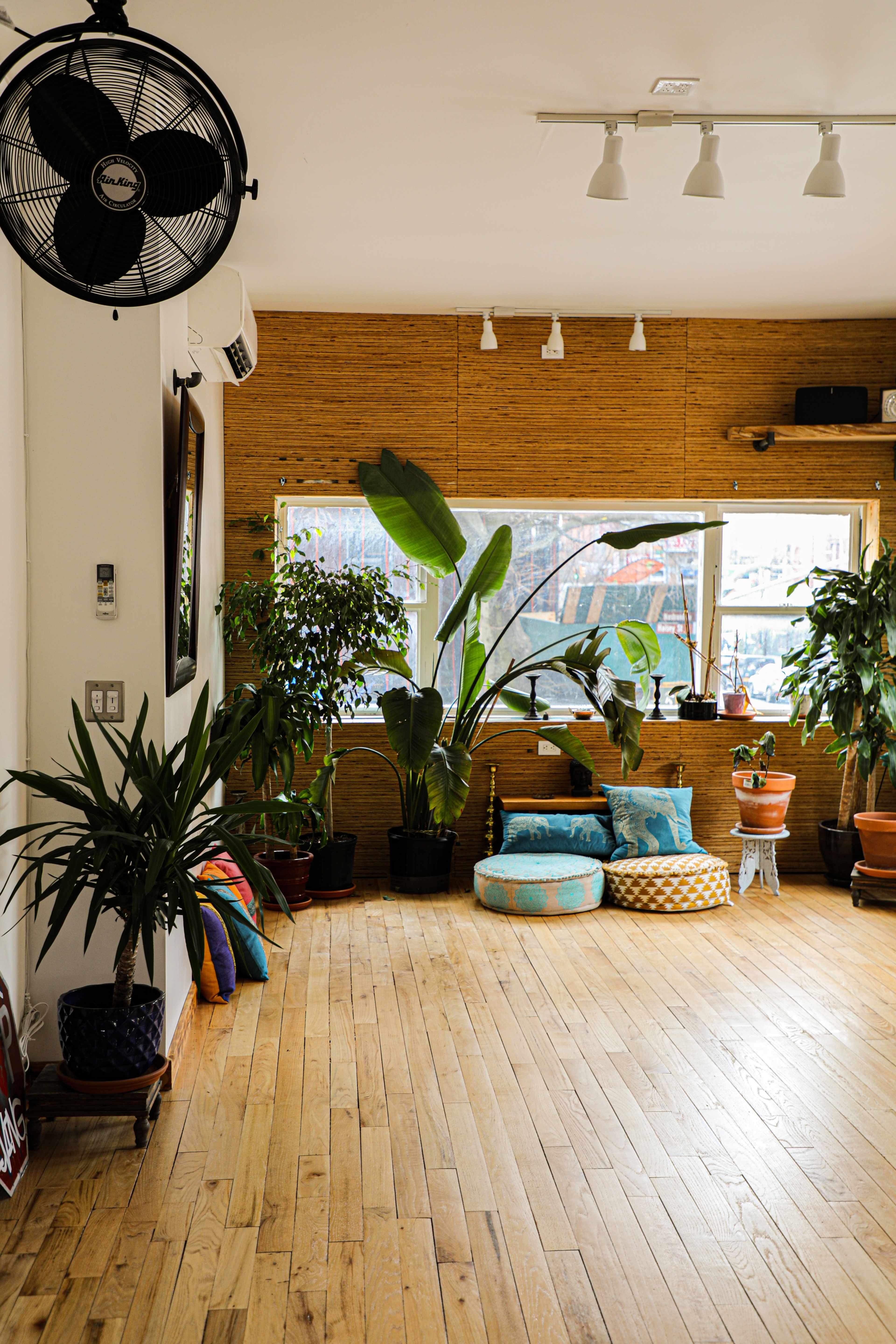 The room features wooden flooring, large windows with plants, and colorful cushions arranged on the floor.