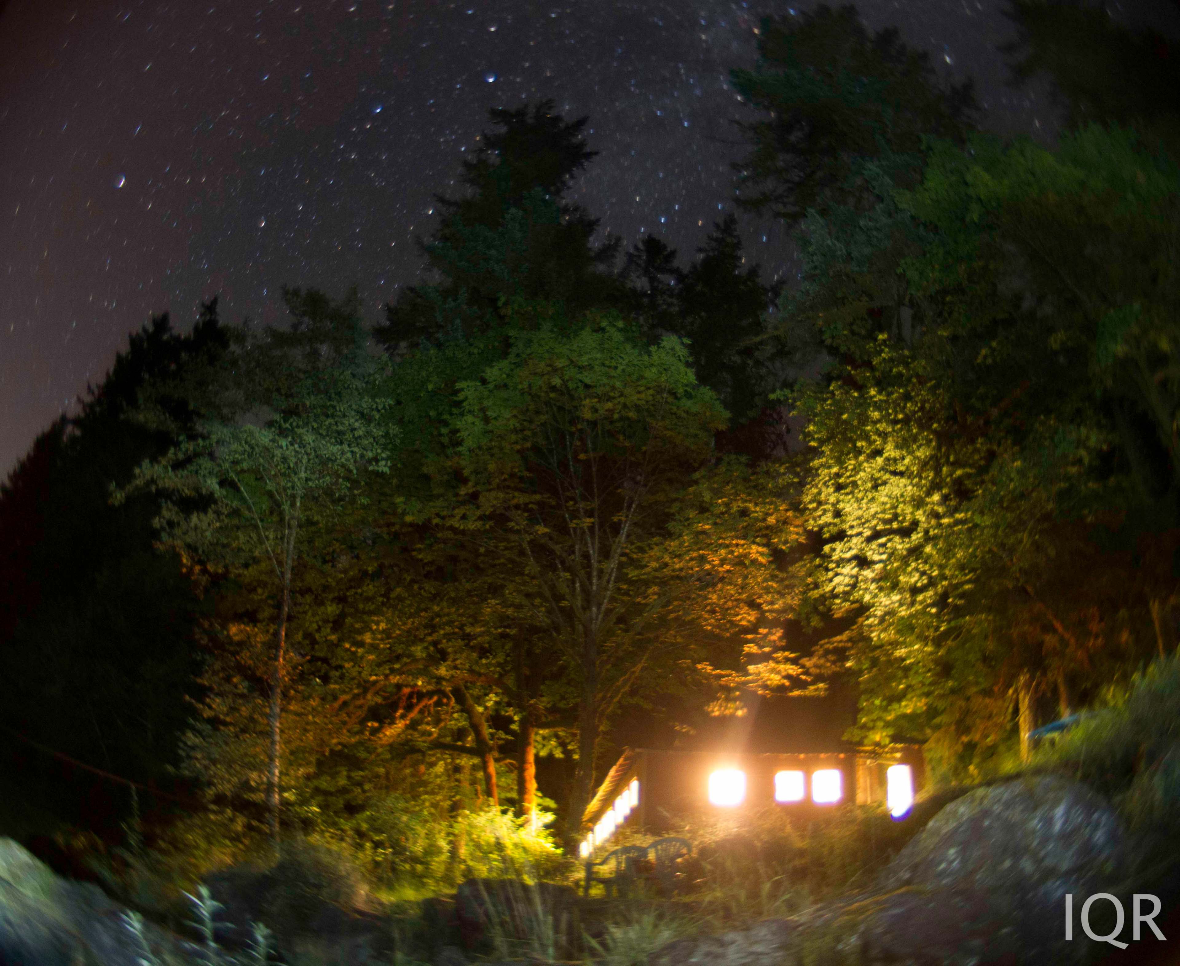 A cabin illuminated by warm lights stands amidst trees under a starry night sky.
