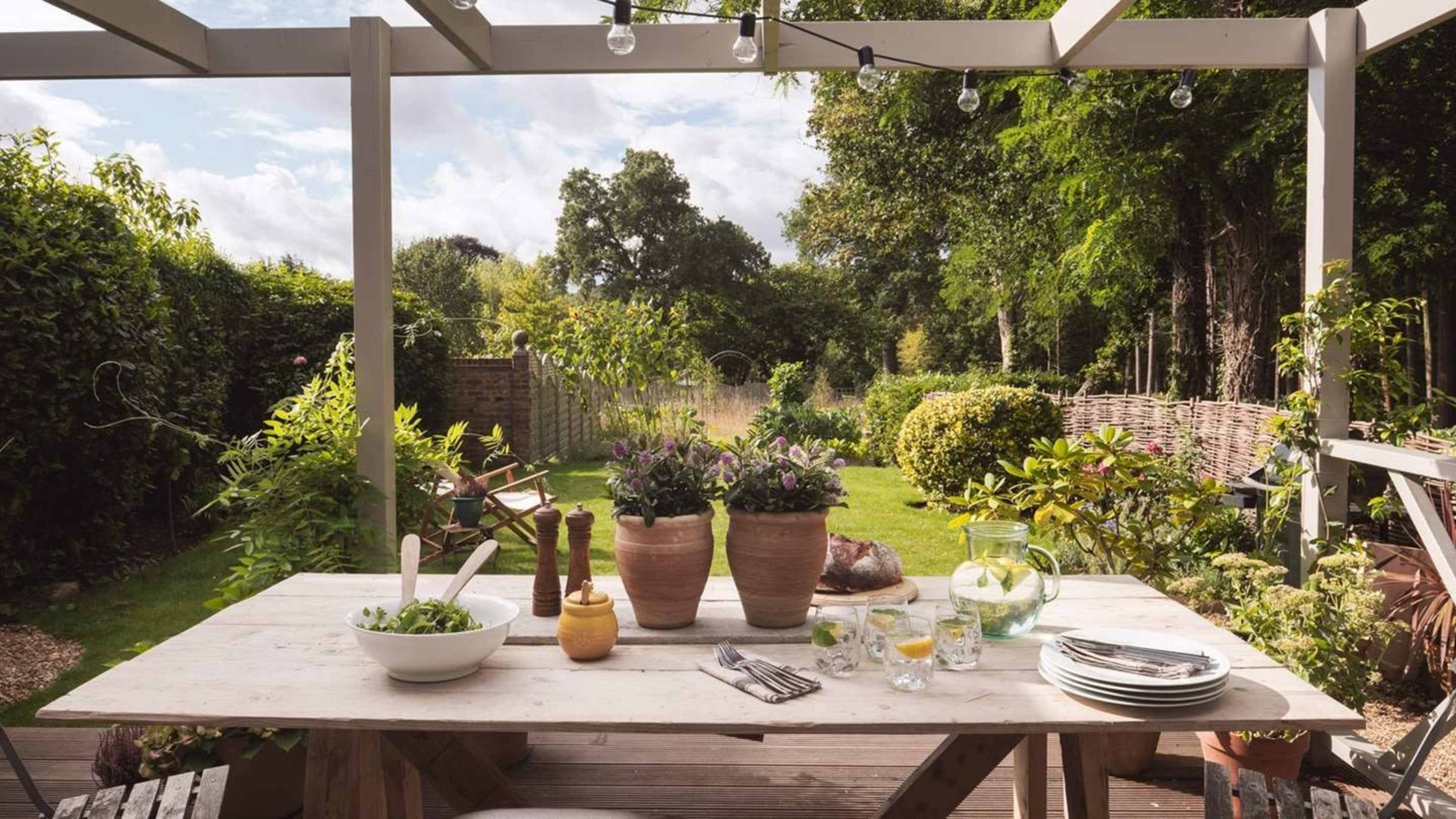 A dining table is set in a garden with potted plants, surrounded by greenery and a wooden fence.