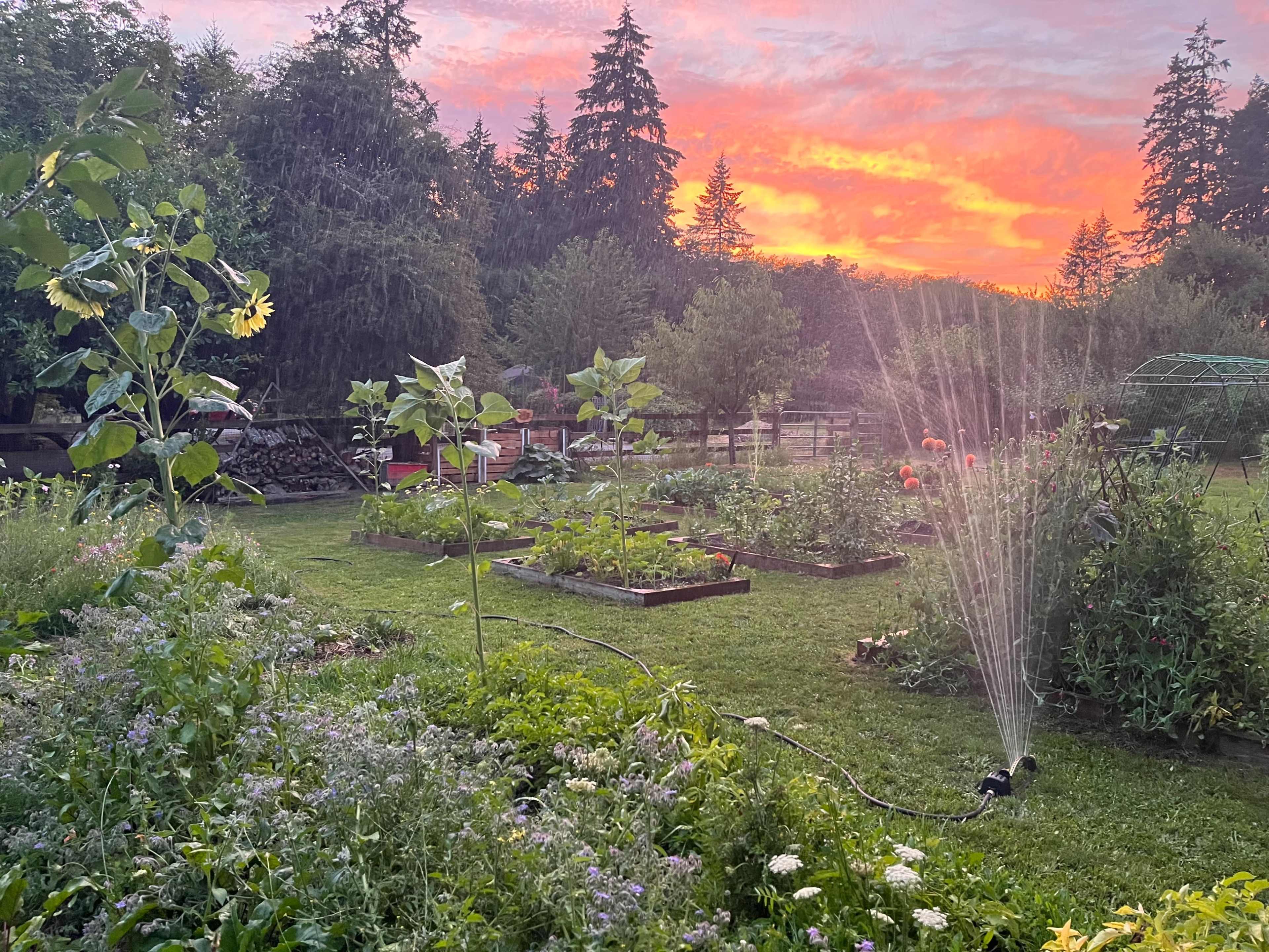 Forest to Farm and Garden Multi-Use Space Image in Bainbridge Island, Bainbridge Island, WA