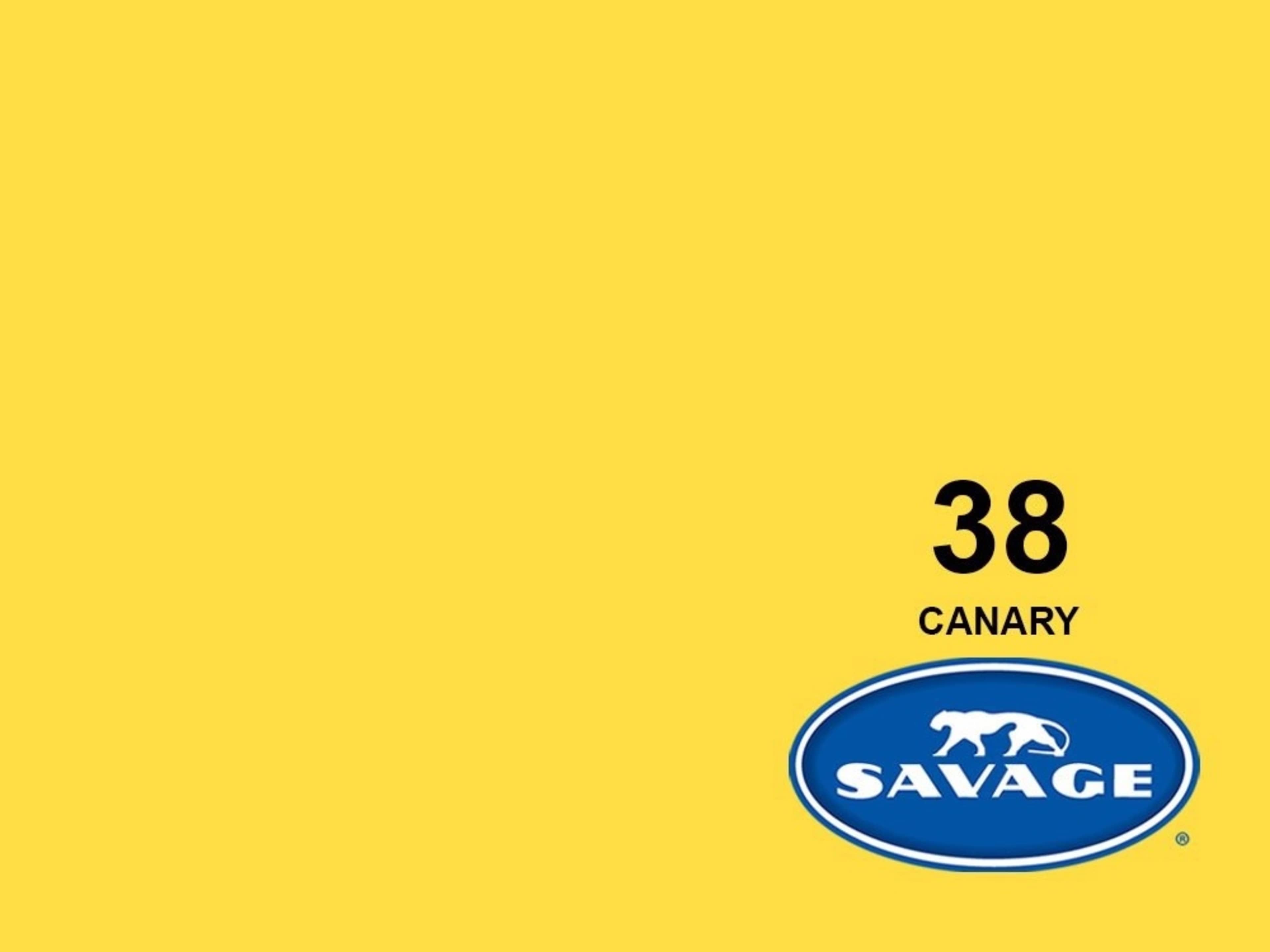 Canary - 86" Wide Background Paper