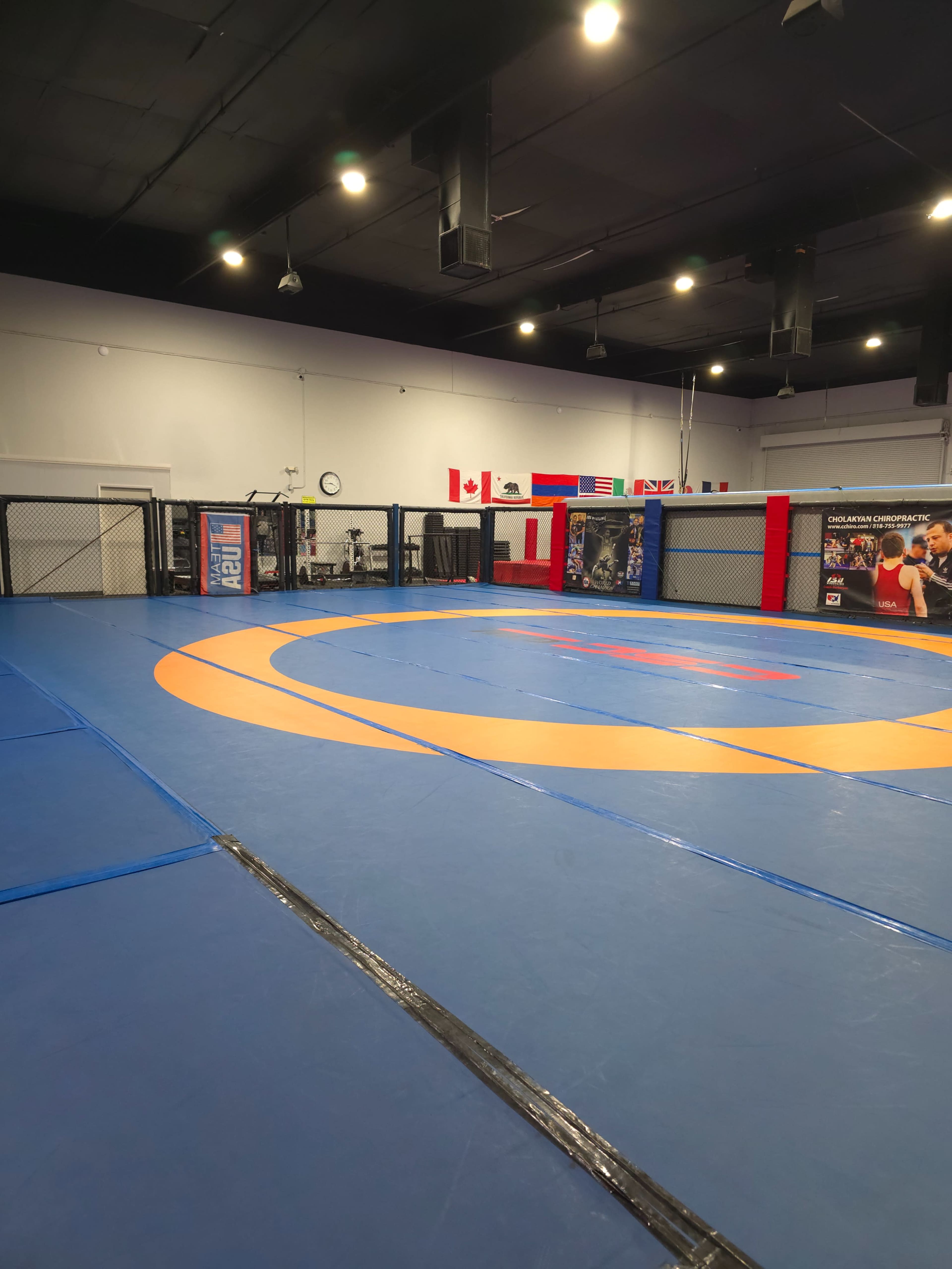 The image shows a martial arts training facility with blue mats, an octagonal cage, and various flags displayed on the walls.