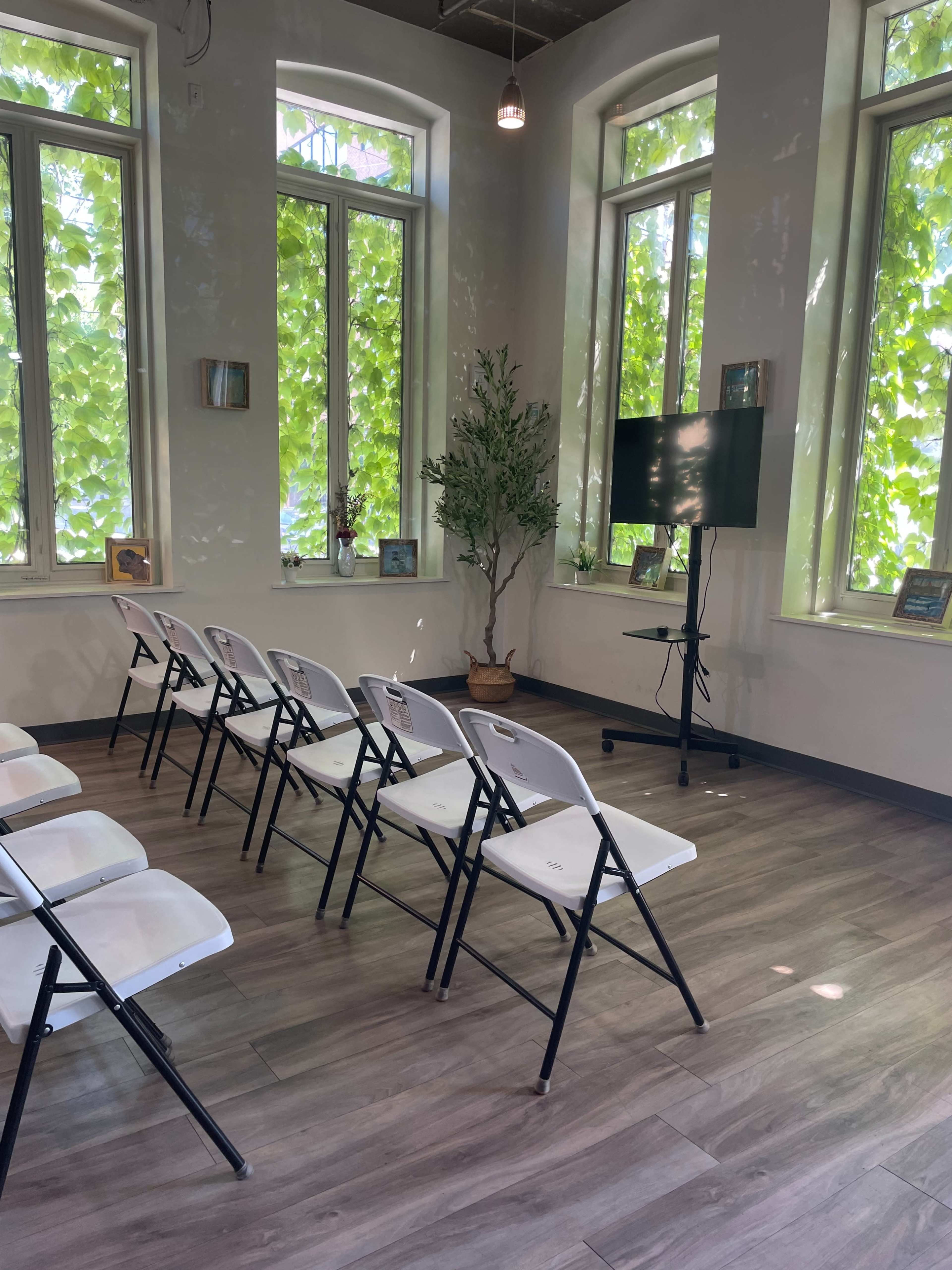 A bright room with folding chairs arranged in rows facing a television screen, surrounded by large windows displaying green foliage.