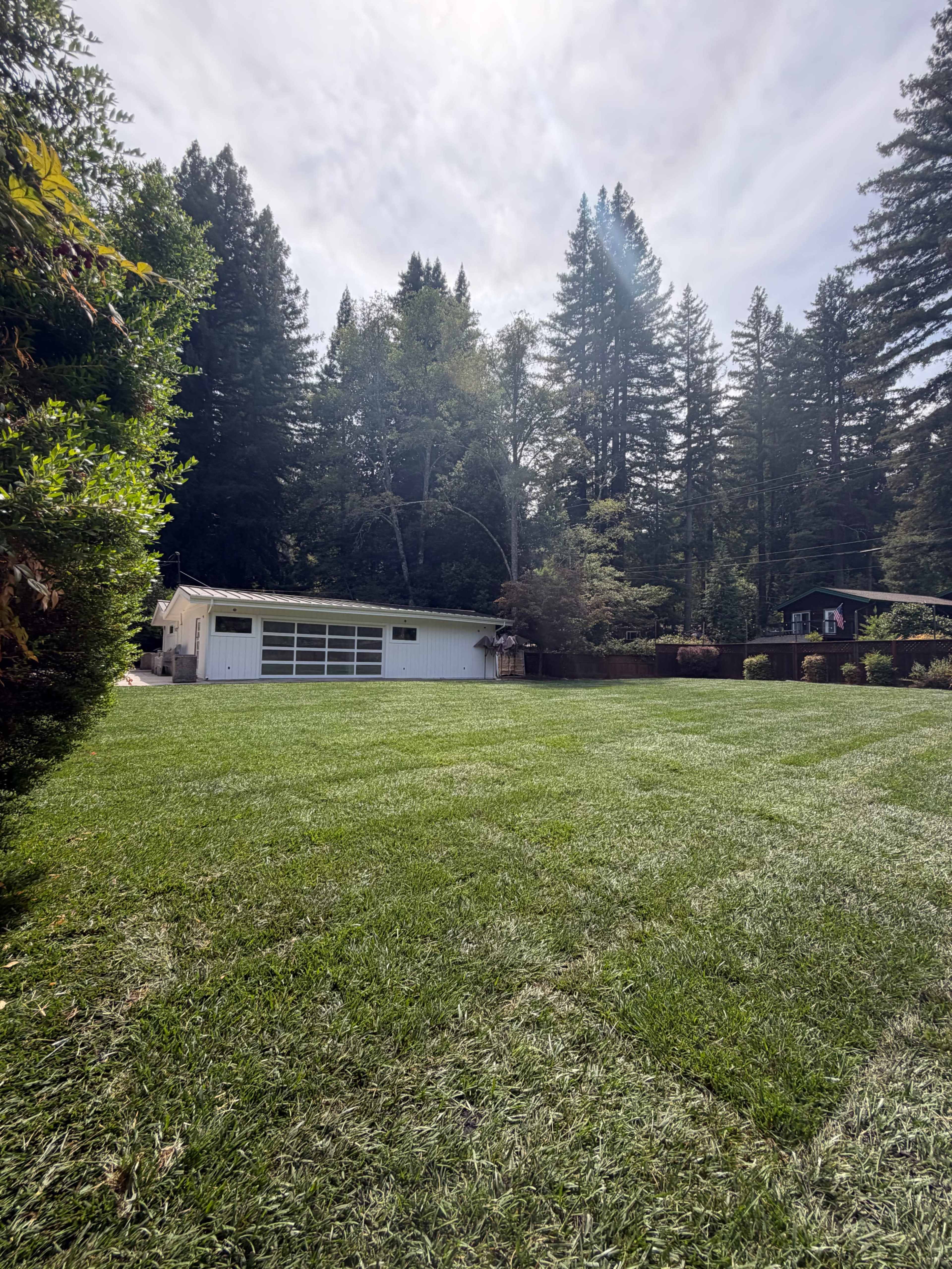 The image shows a well-maintained grassy lawn in front of a garage surrounded by tall trees.