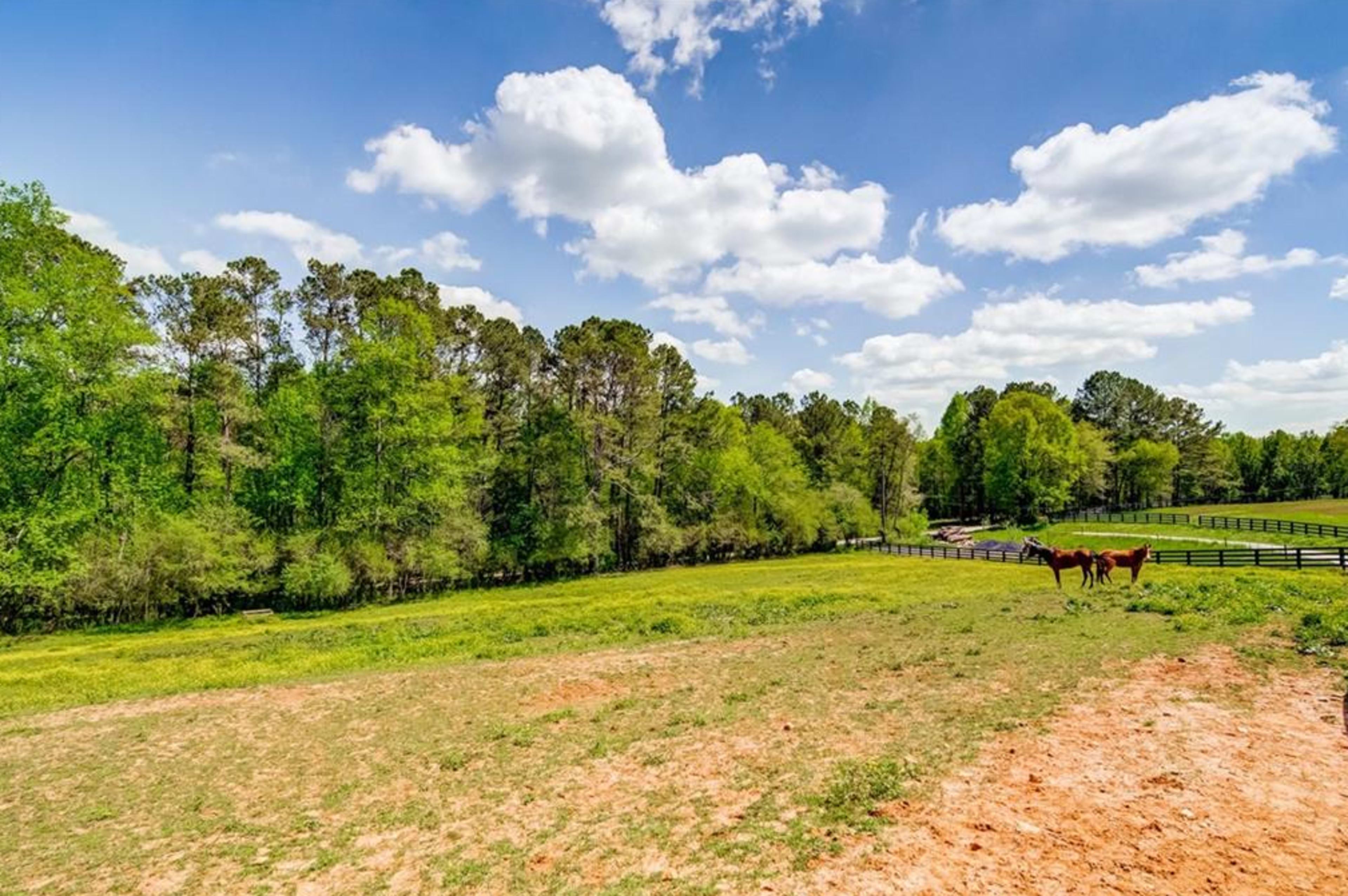 A grassy field with two horses grazing near a wooded area under a partly cloudy sky.