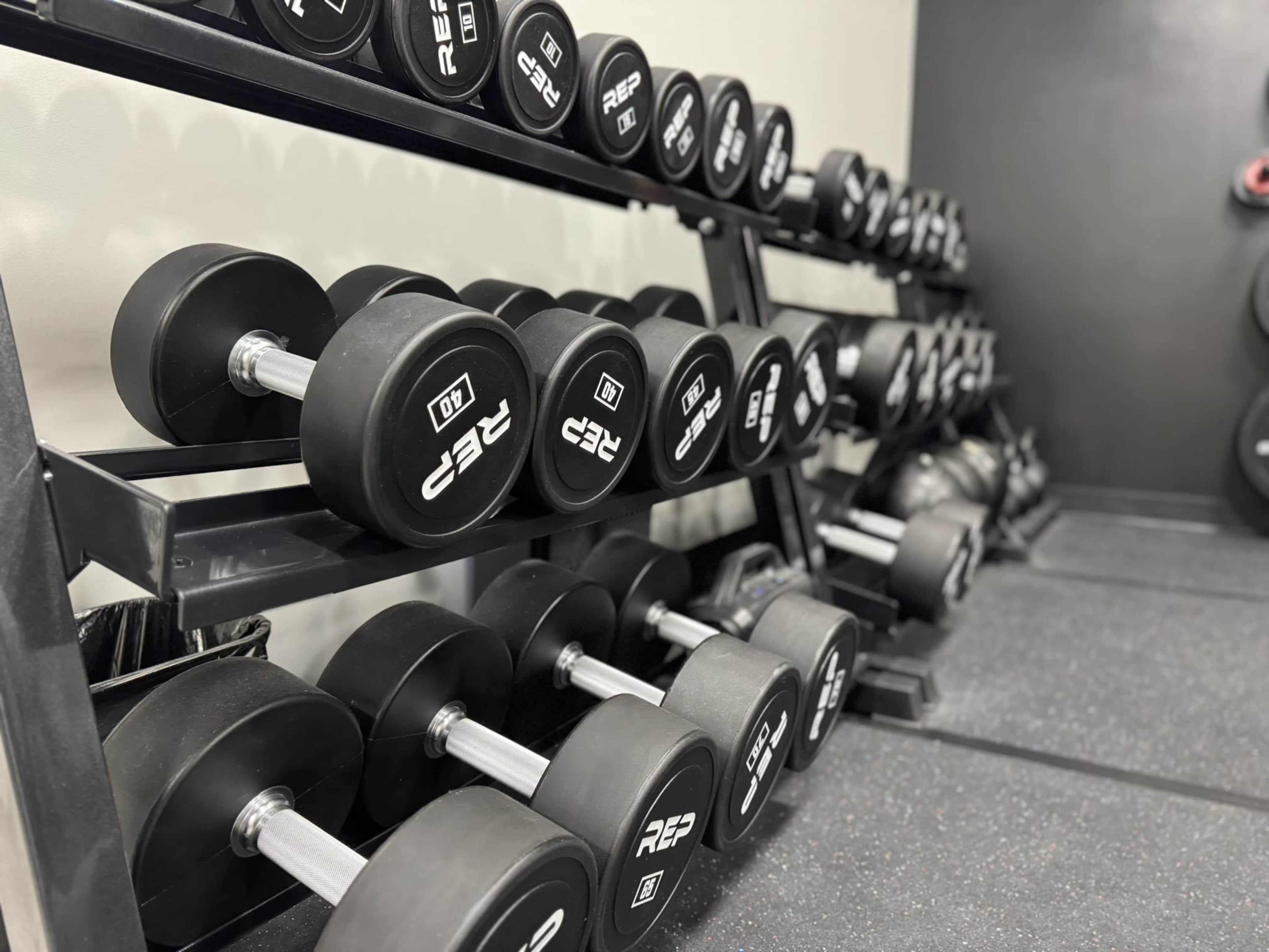 The image shows a rack filled with black dumbbells neatly organized in a gym setting.