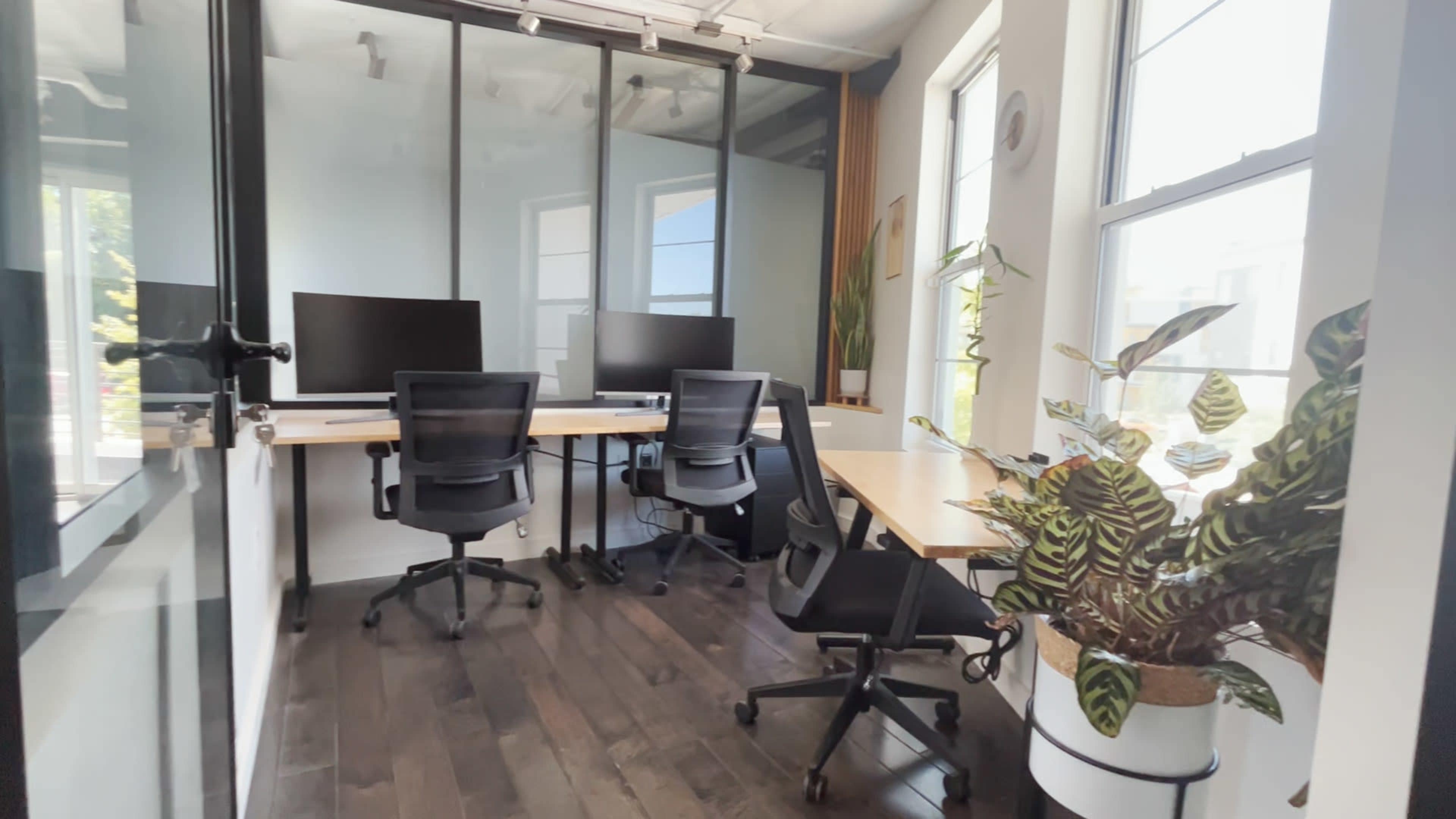 The image shows a modern office space with two desks, each equipped with a computer monitor, and a plant in a pot positioned by the window.