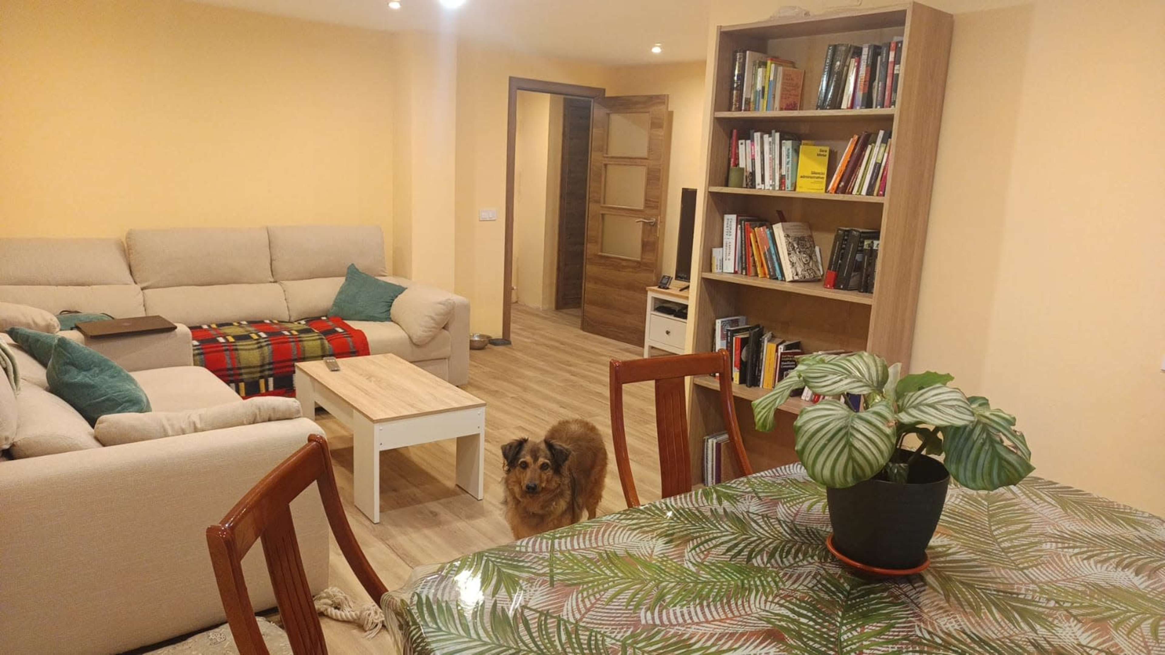 Piso acogedor, luminoso y espacioso, con vistas desde un duodécimo Image in Palomeras Sureste, Madrid, M