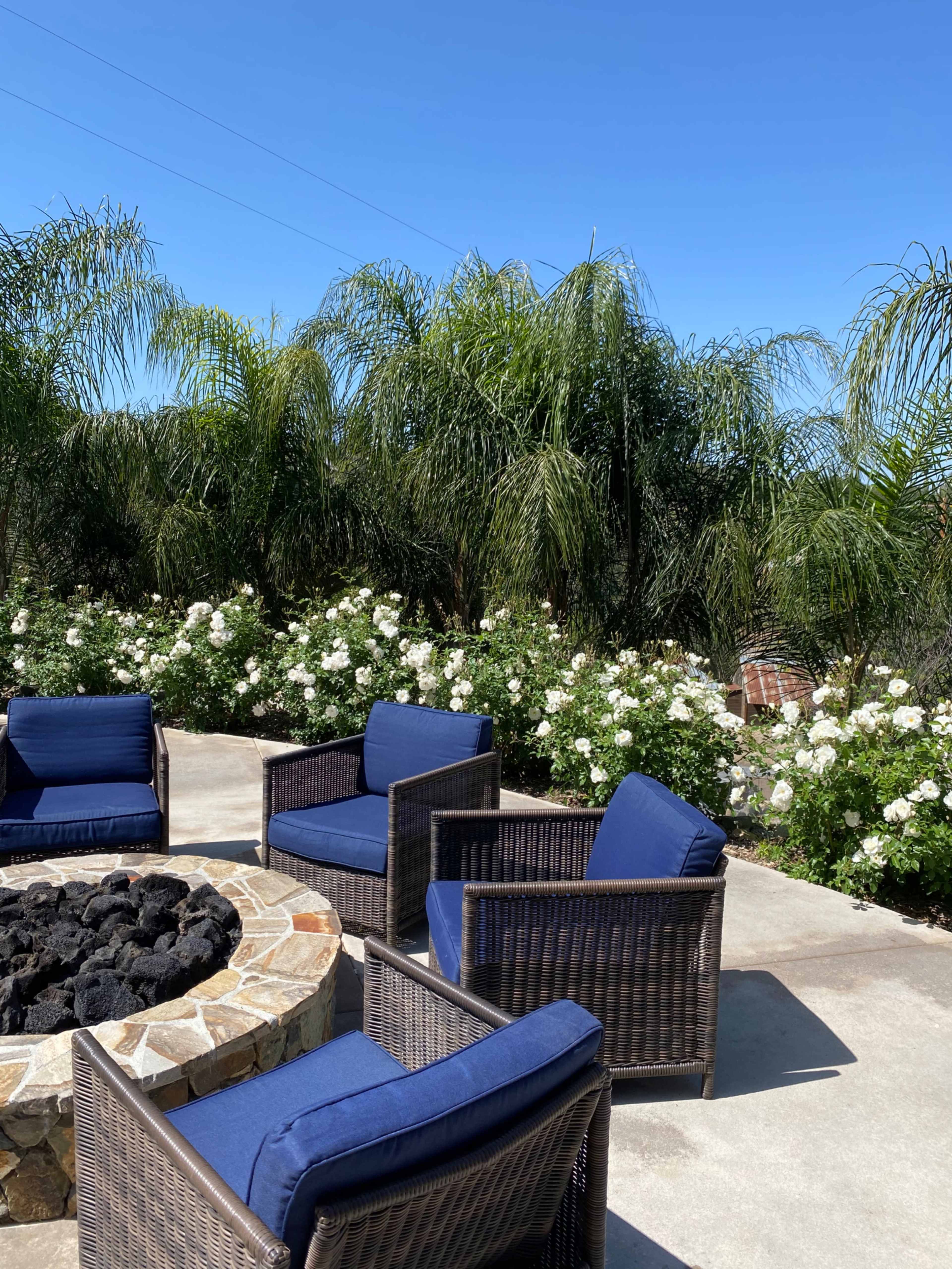 A seating area with blue cushions on wicker chairs arranged around a stone fire pit, surrounded by palm trees and flowering plants.