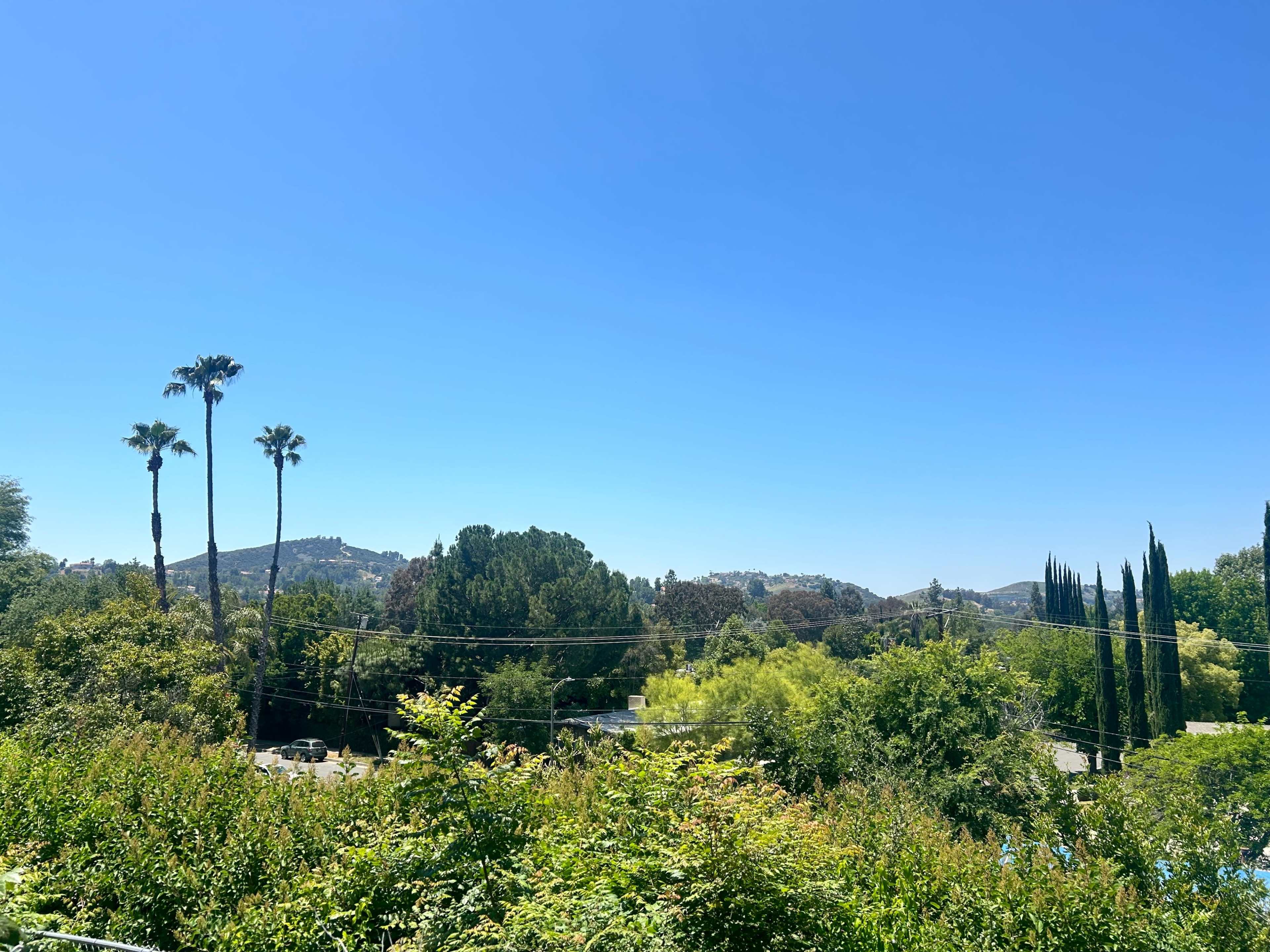 A clear blue sky over a landscape with tall palm trees, green foliage, and distant hills.