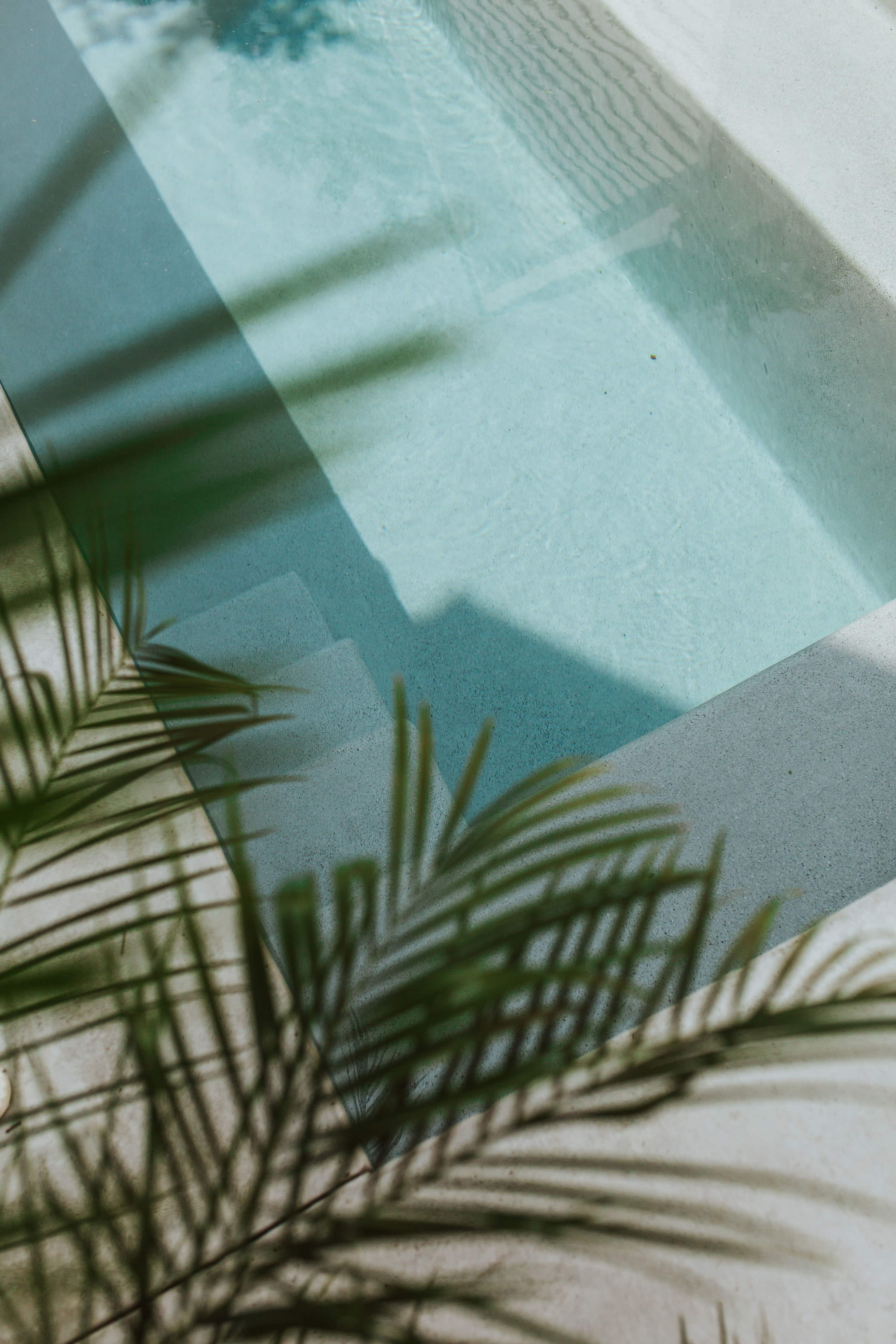 The image shows a clean swimming pool surrounded by concrete and palm fronds casting shadows on the surface.