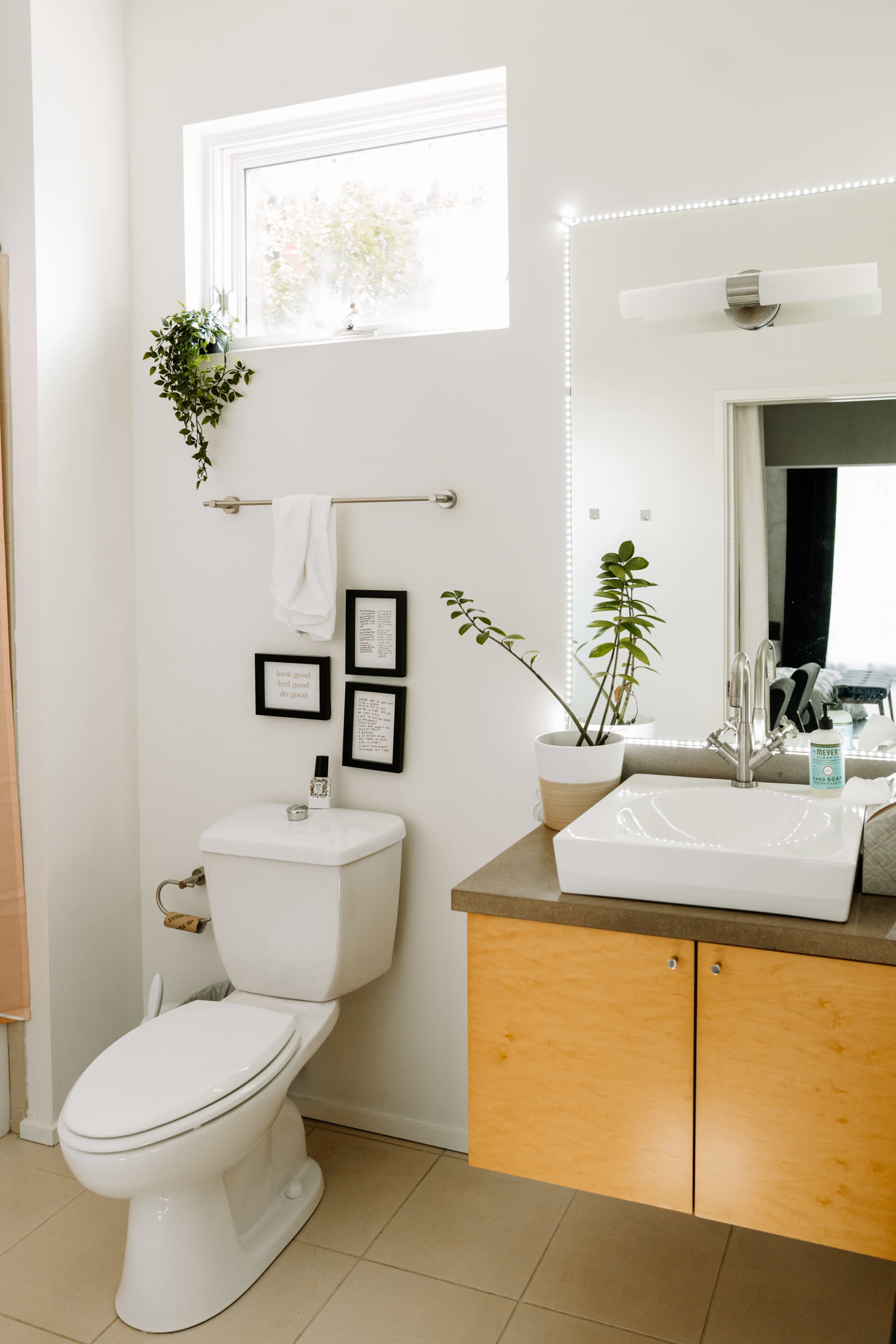 A modern bathroom features a toilet, a sink with a countertop, framed artwork on the wall, and plants positioned near a window.