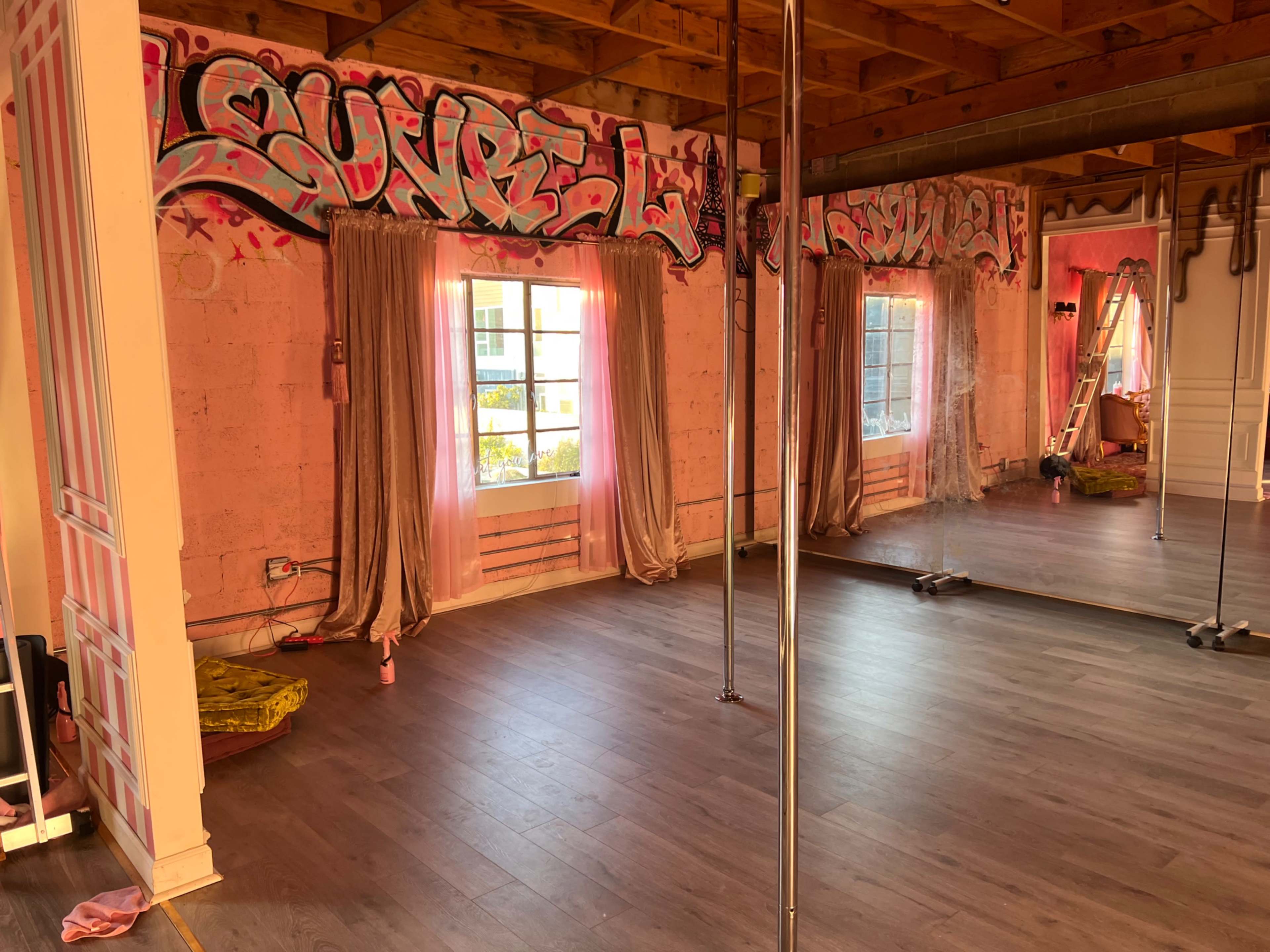 Pink Pole Dance Studio with a Cyc and a Bathtub Image in Hollywood, Hollywood, CA